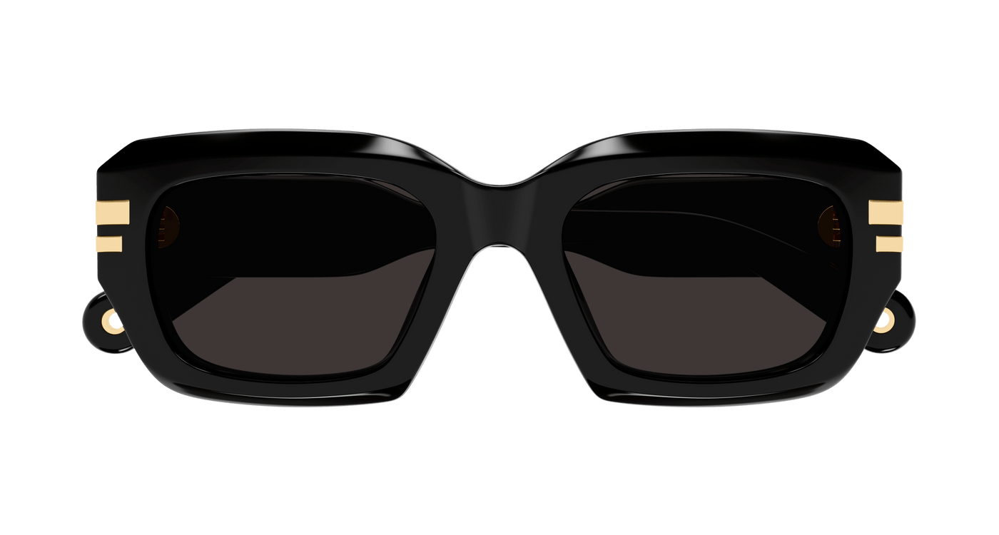 Chloe CH0256S Sunglasses 889652514680