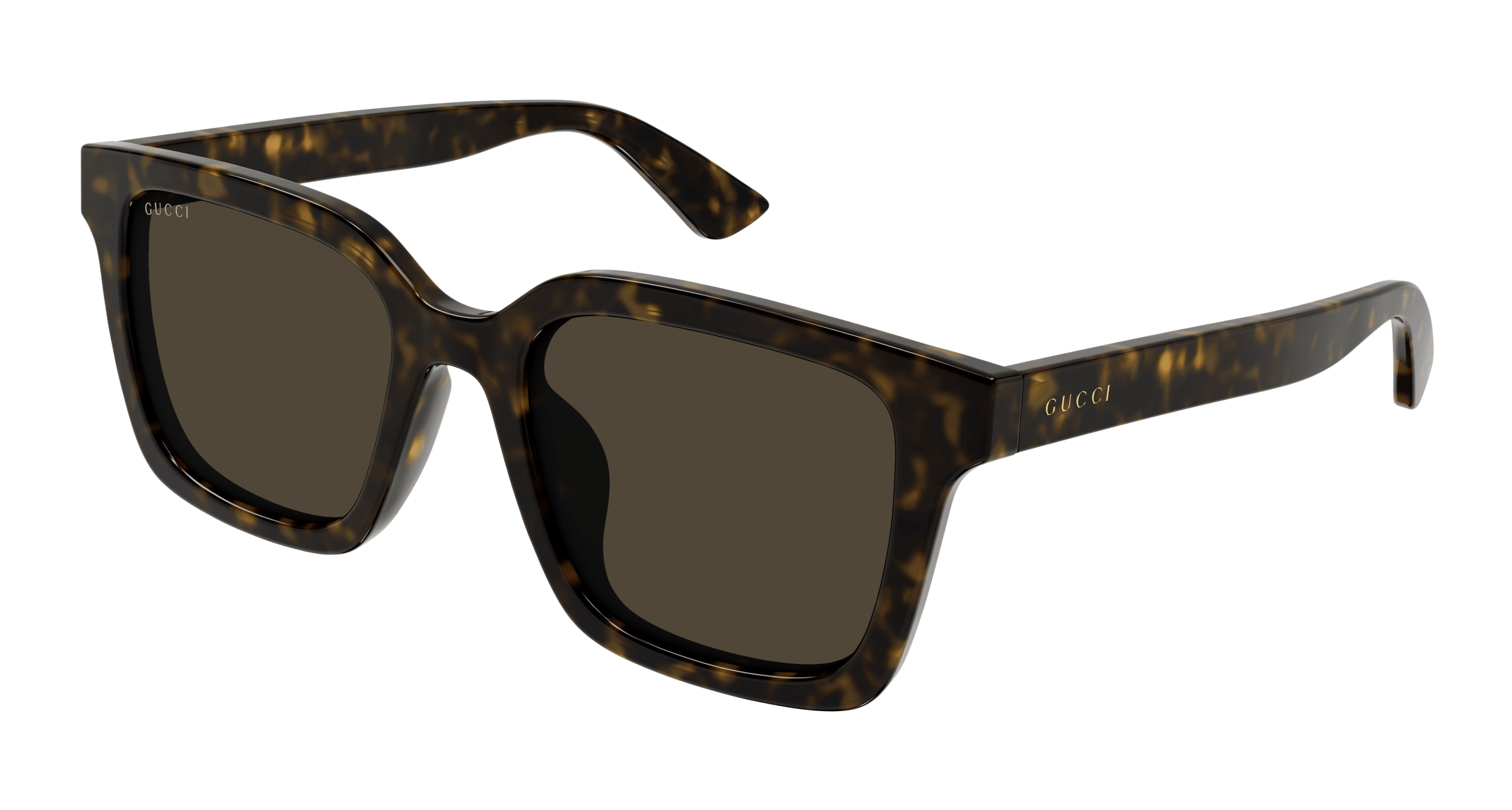 Havana Sunglasses Gucci 889652473161