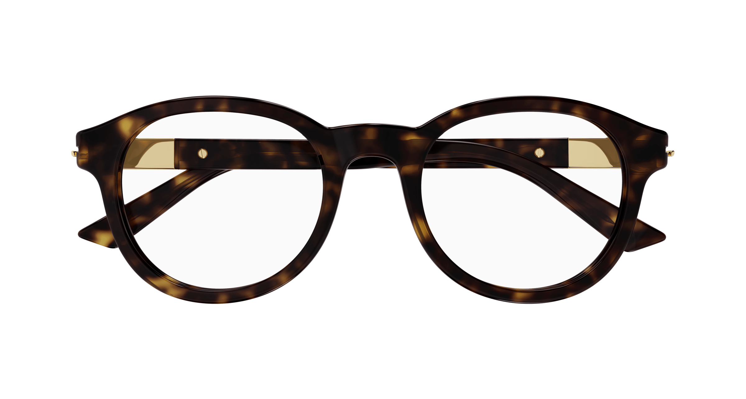 Havana Eyeglasses Gucci 889652469997