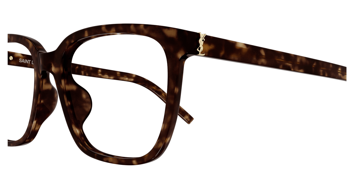 Saint Laurent SL M142/F Havana 889652517193