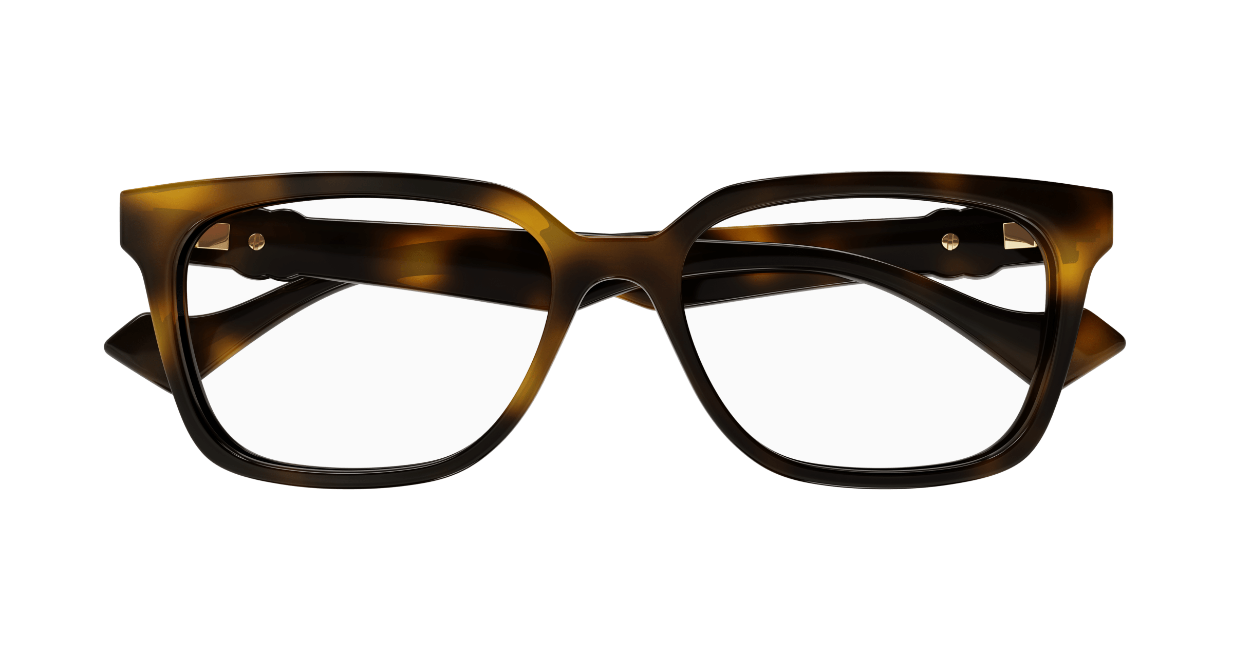 Havana Eyeglasses Gucci 889652473574