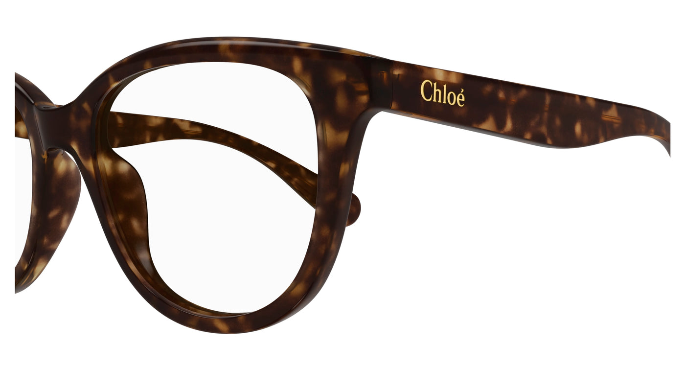 Chloe CC0021O Eyeglasses 889652484723
