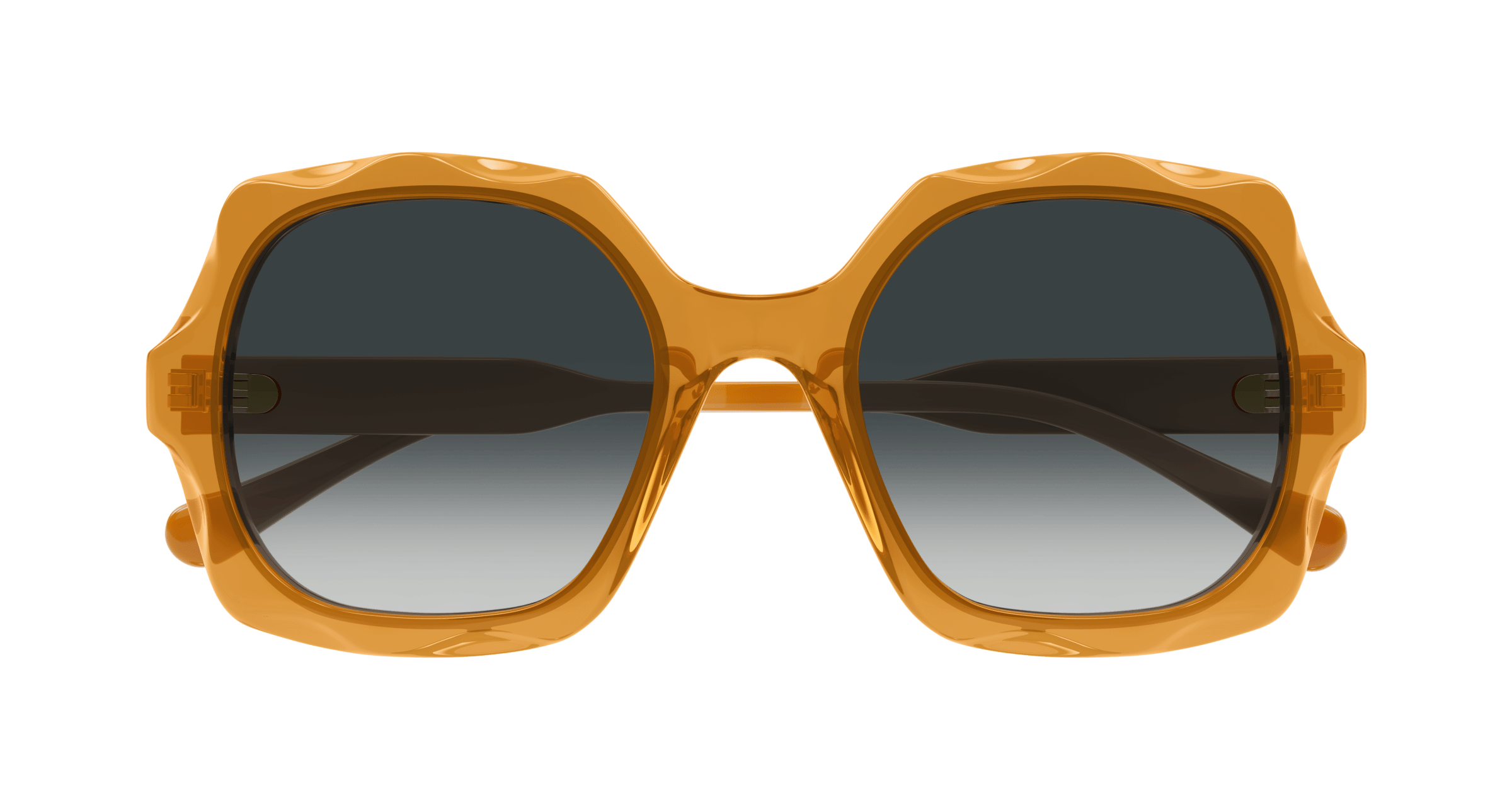 Chloe CH0226S Sunglasses 889652483146