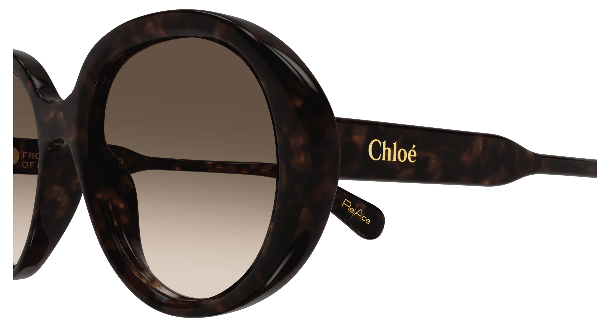 Chloe CH0221S Sunglasses 889652480985