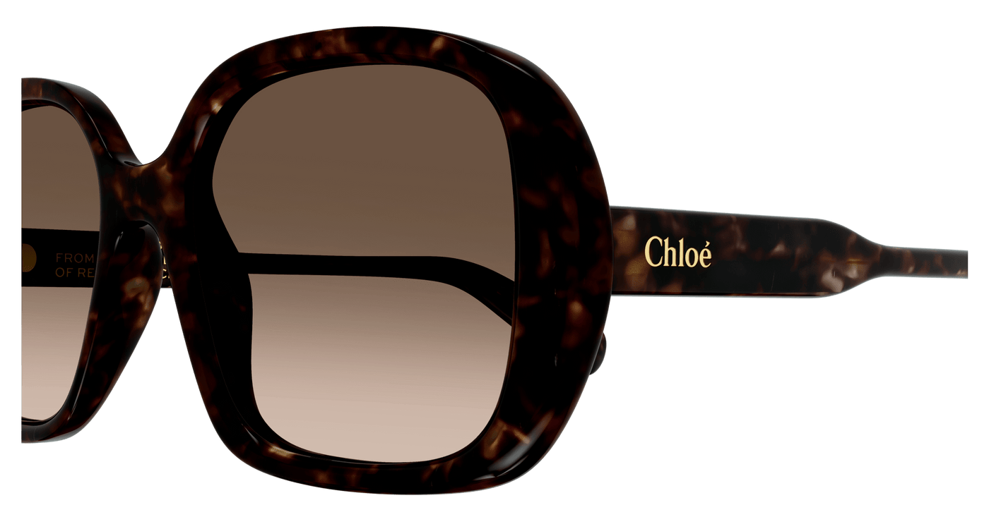 Chloe CH0222S Sunglasses 889652481036