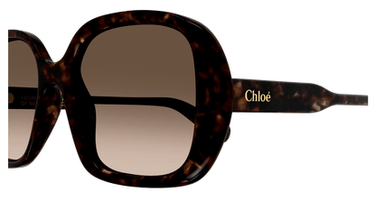 Chloe CH0222S Sunglasses 889652481036