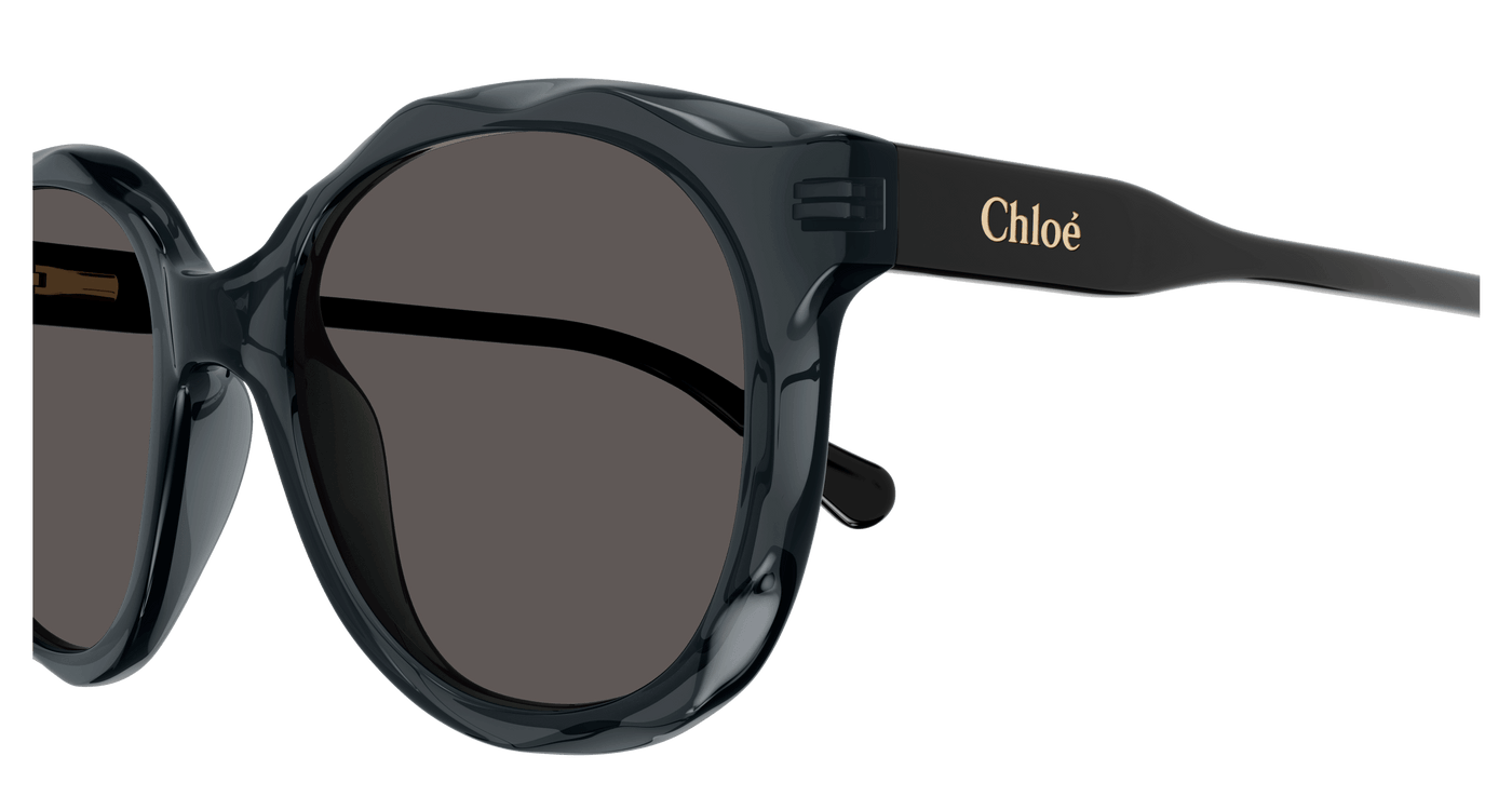 Chloe CC0019S Sunglasses 889652484662