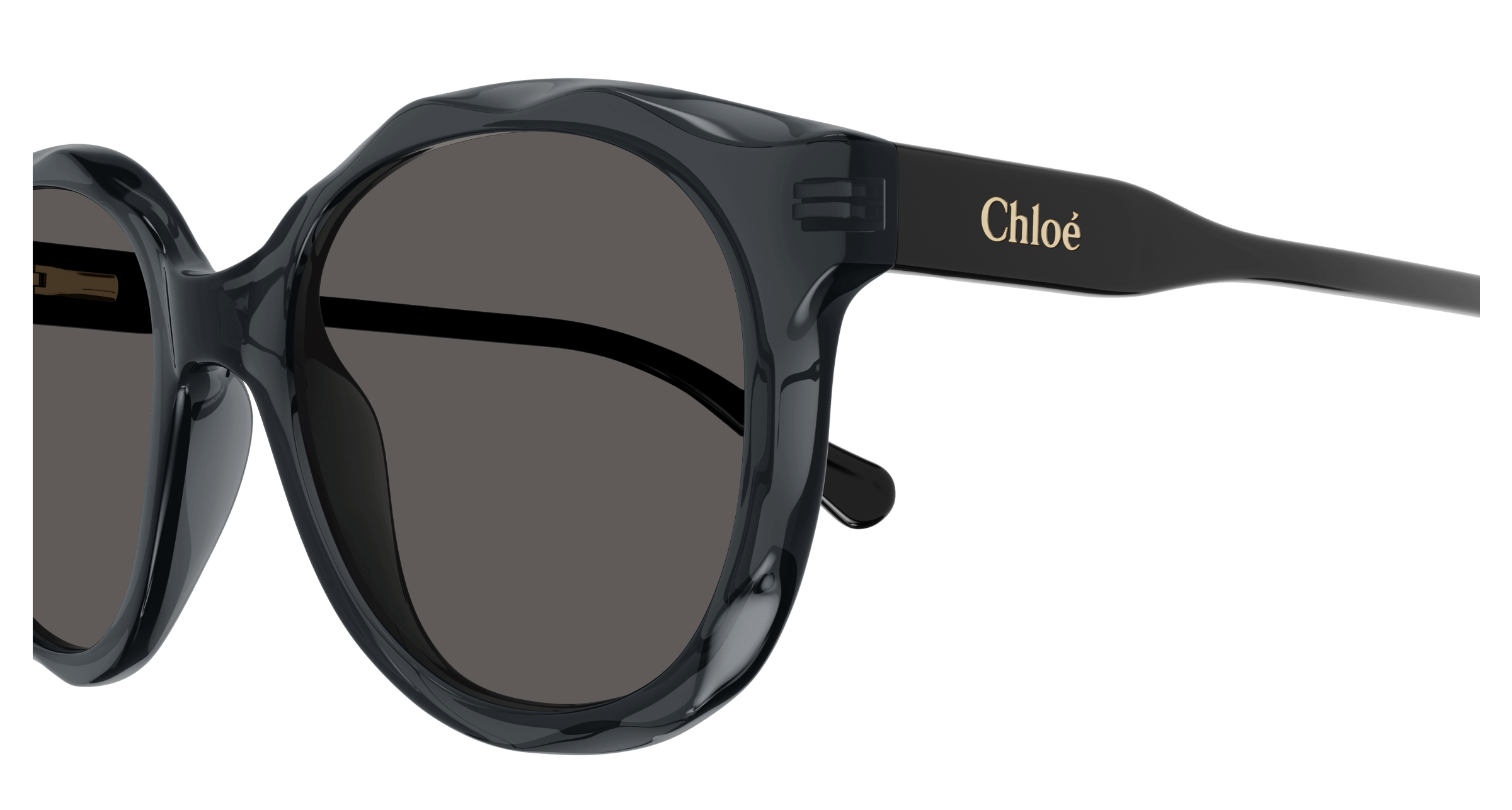 Chloe CC0019S Sunglasses 889652484662
