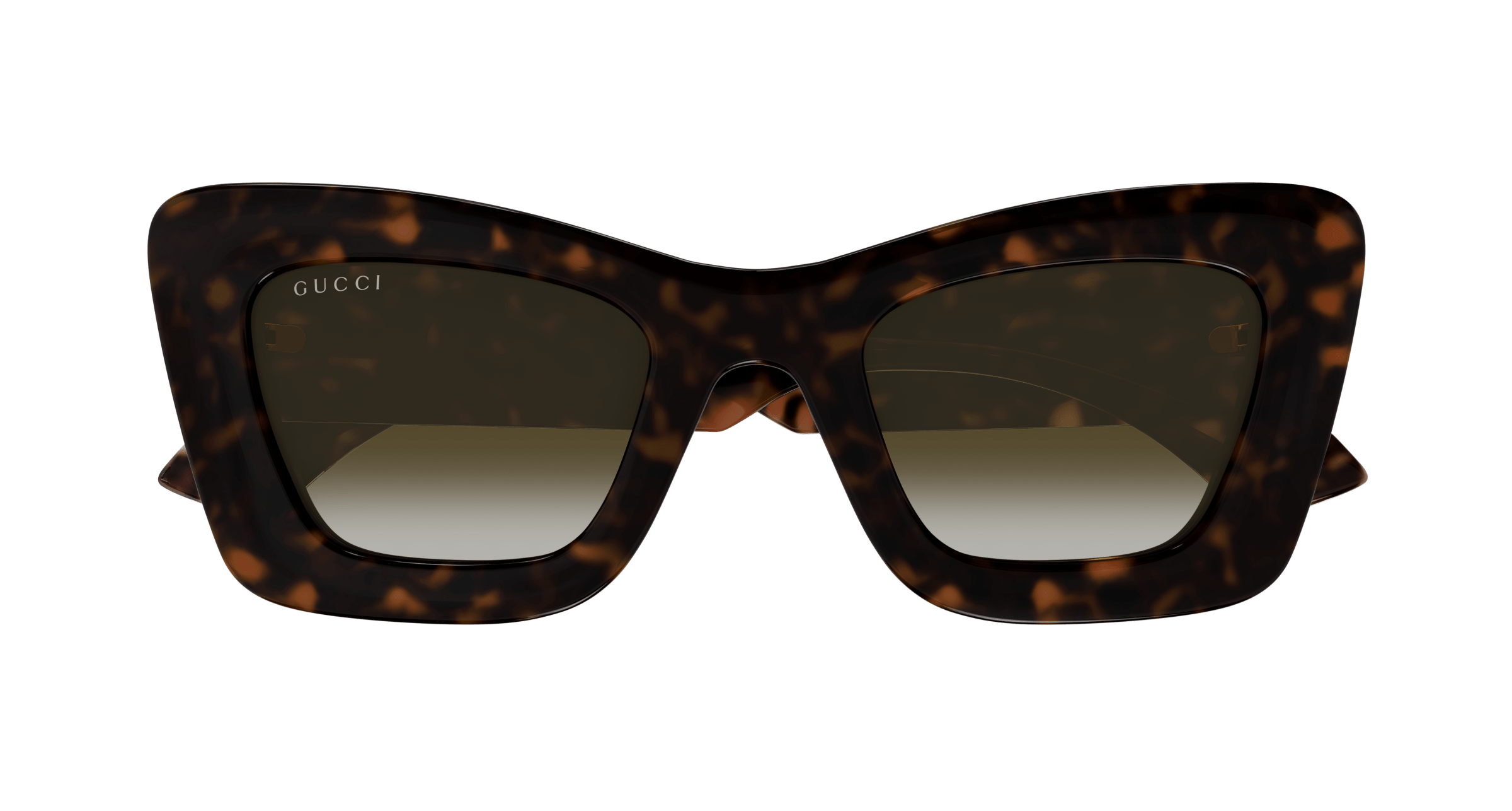 Havana Sunglasses Gucci 889652469492