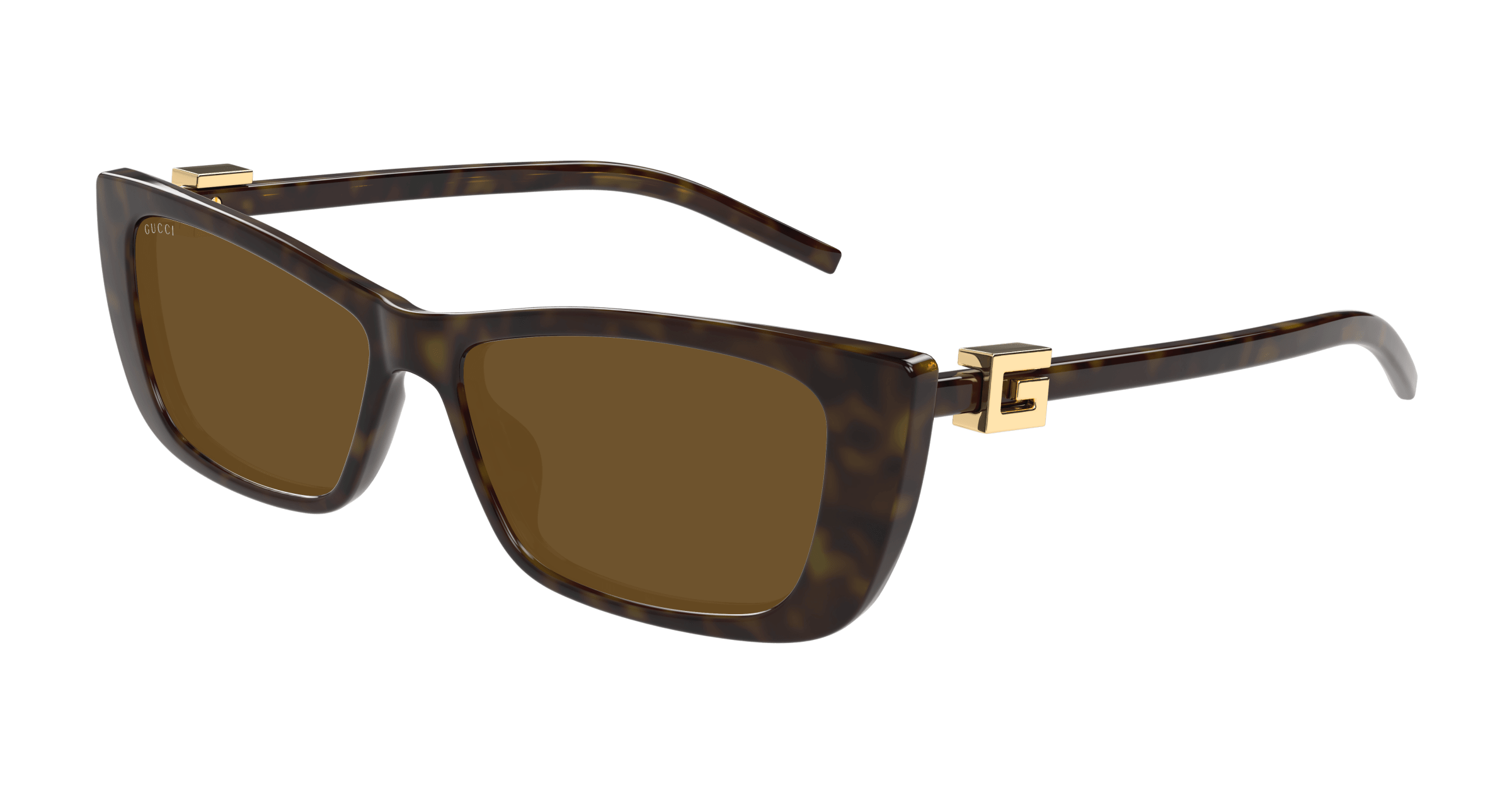 Havana Sunglasses Gucci 889652498843