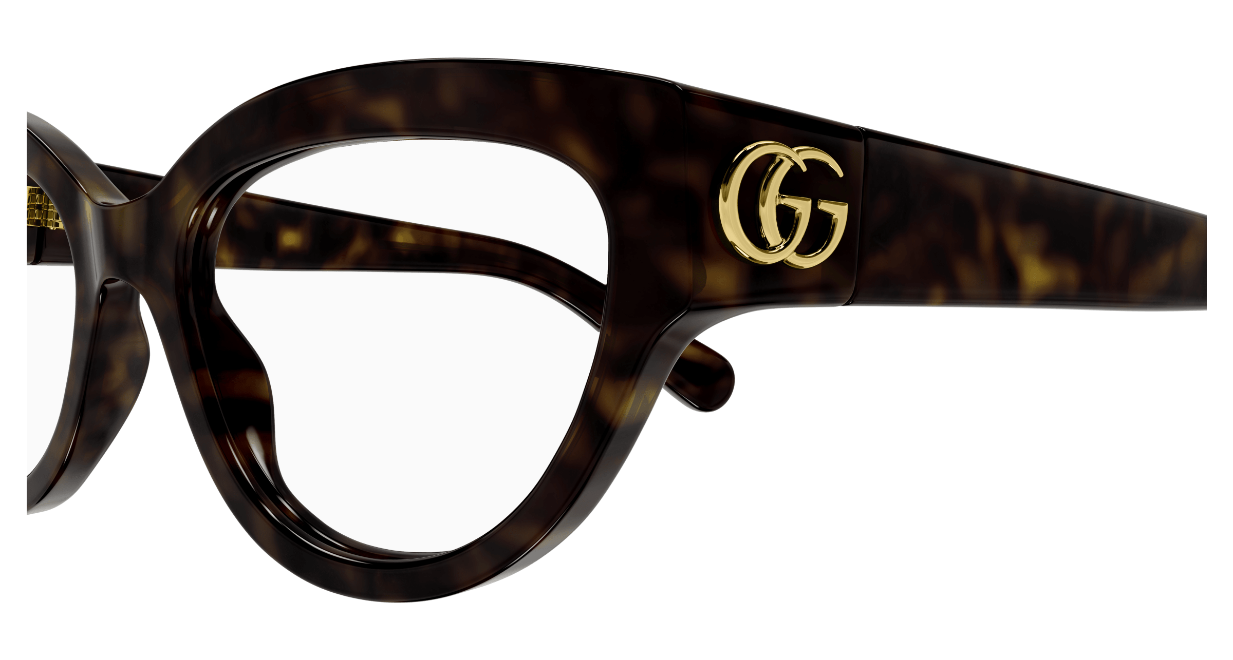 Havana Eyeglasses Gucci 889652468518