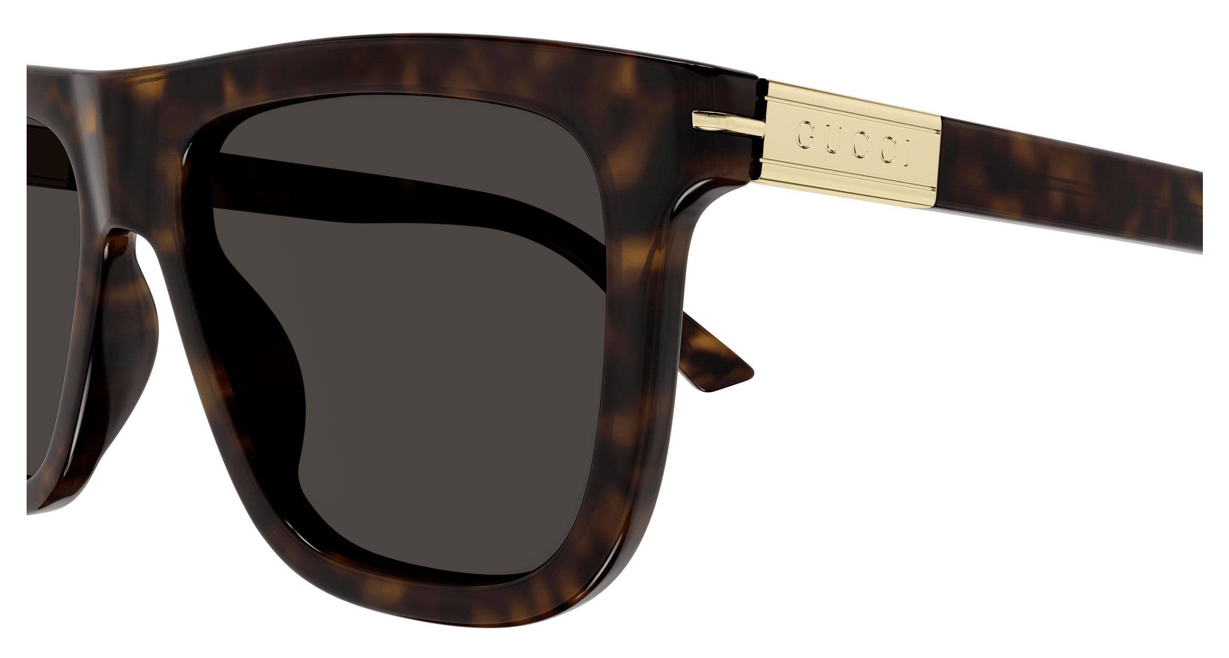 Havana Sunglasses Gucci 889652469959