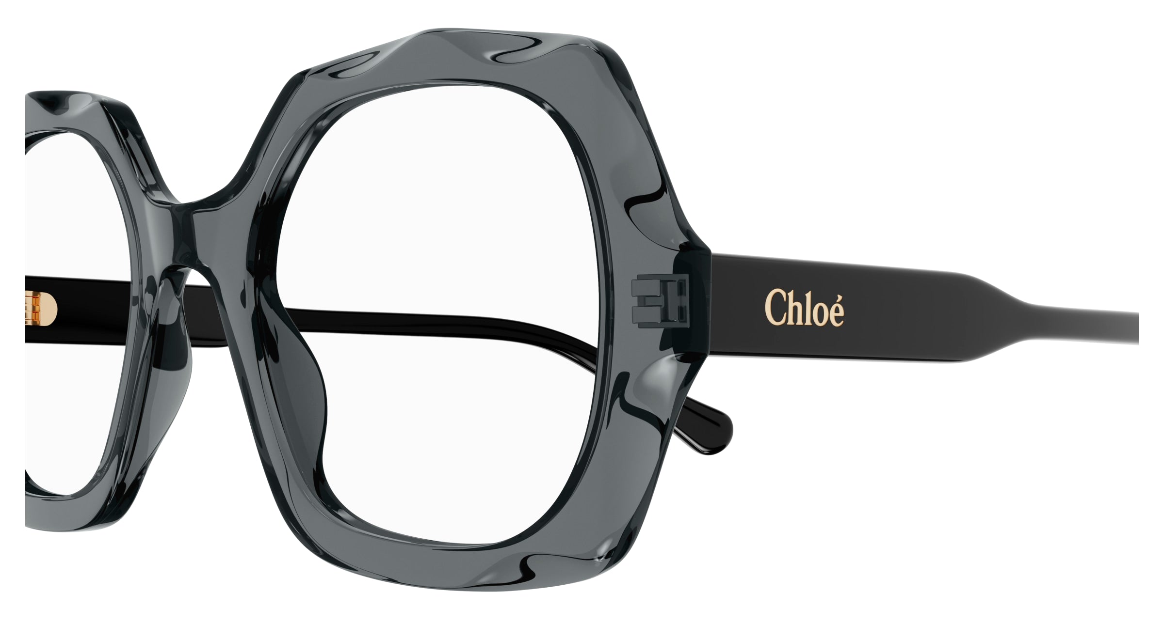 Chloe CH0228O Eyeglasses 889652484389