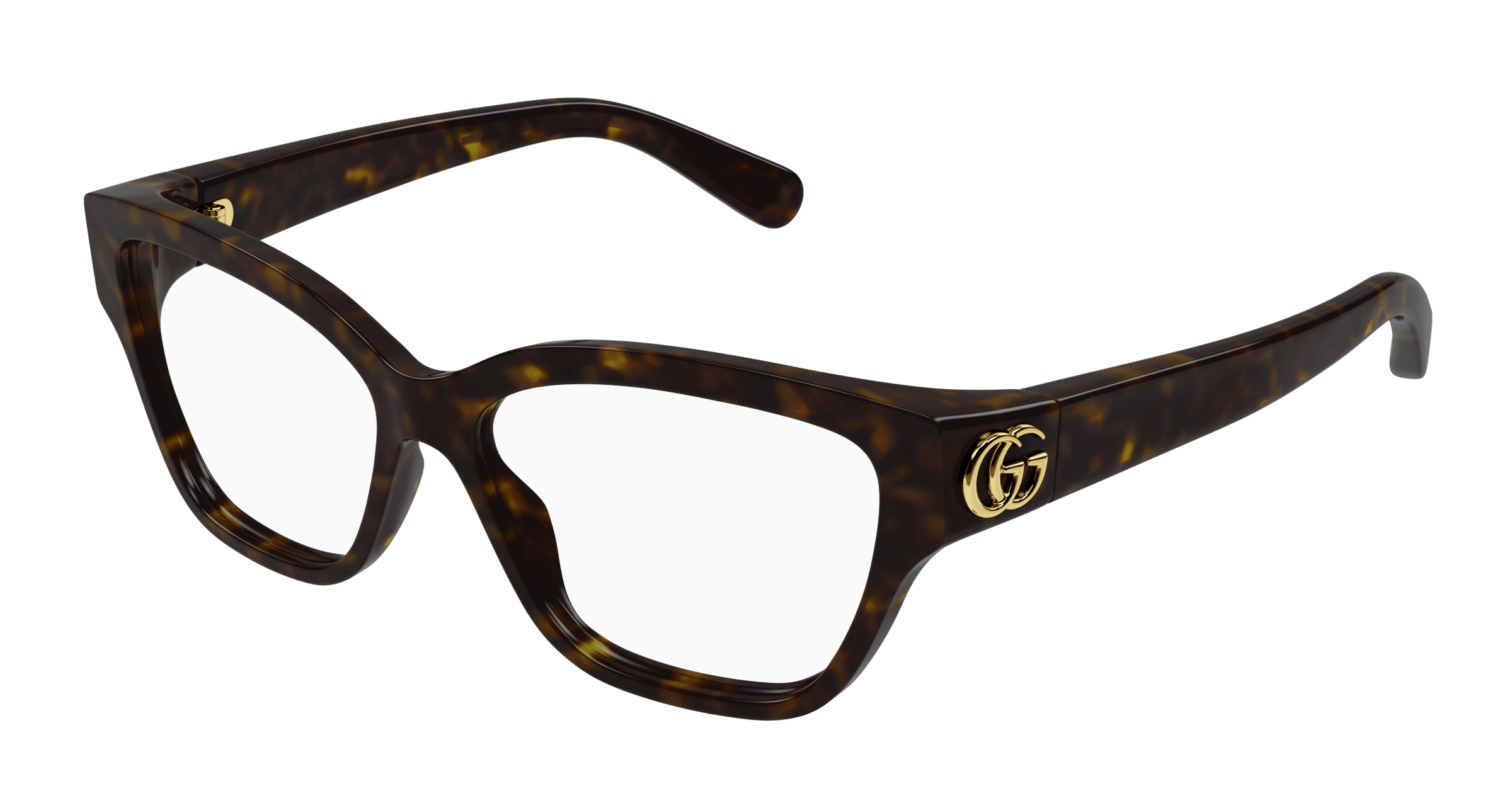 Havana Eyeglasses Gucci 889652468488