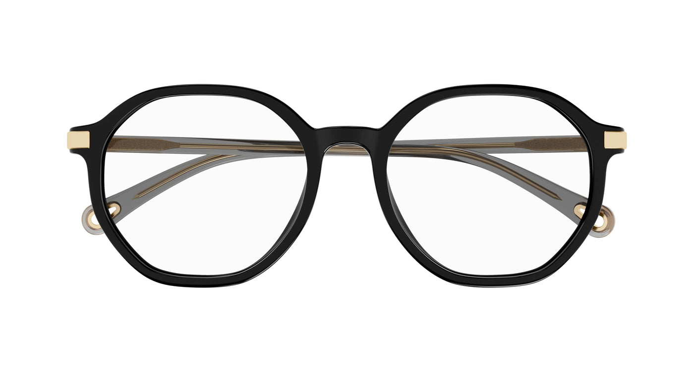 Chloe CH0249OA Eyeglasses 889652485188