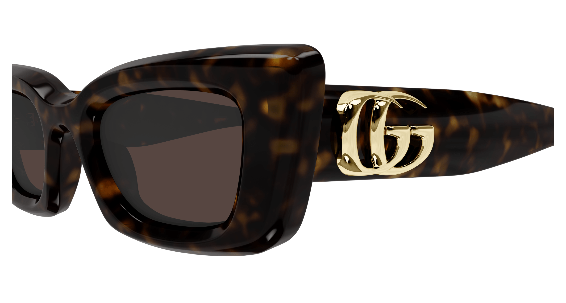 Havana Sunglasses Gucci 889652527154