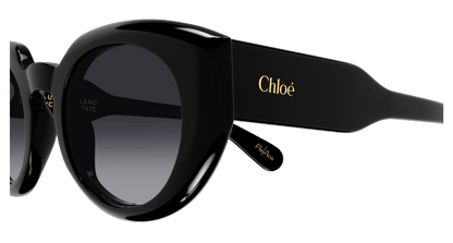 Chloe CH0311S Sunglasses 889652540993