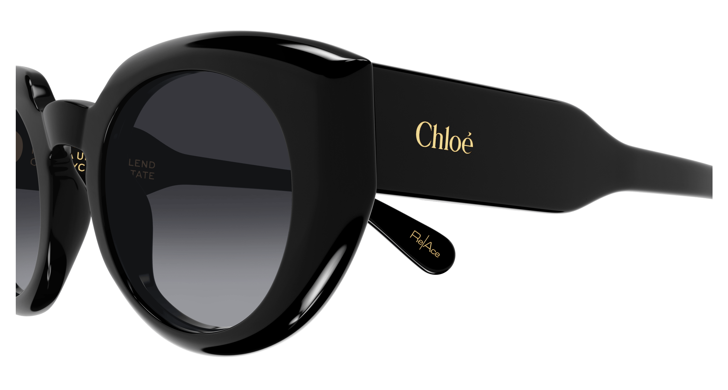 Chloe CH0311S Sunglasses 889652540993