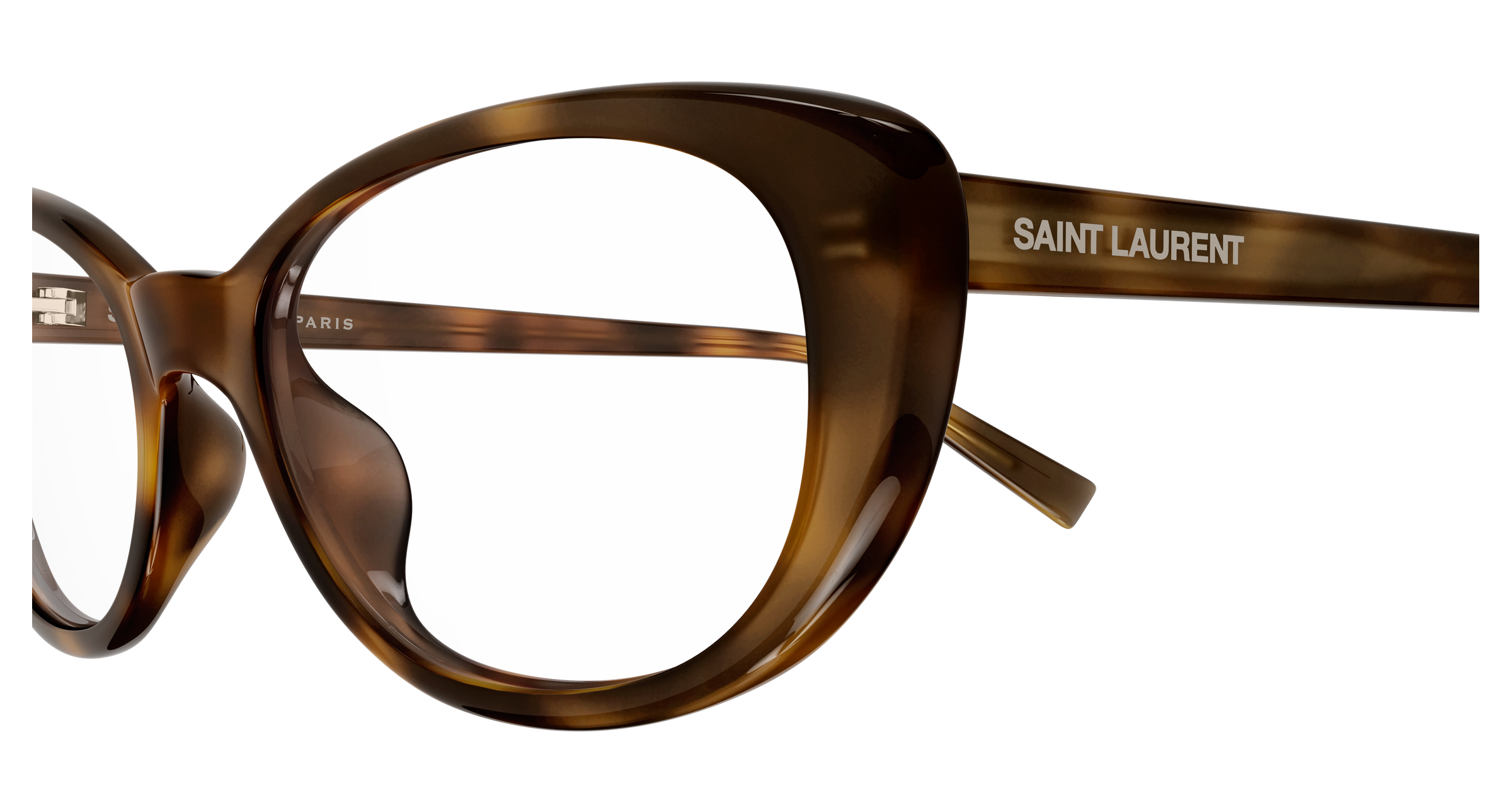 Saint Laurent SL 822 OPT Havana 879 889652604879