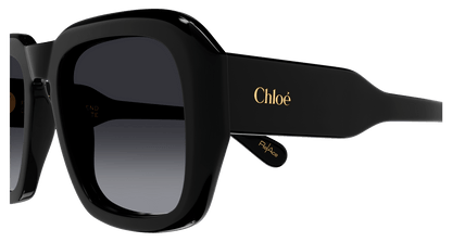 Chloe CH0310S Sunglasses 889652540948