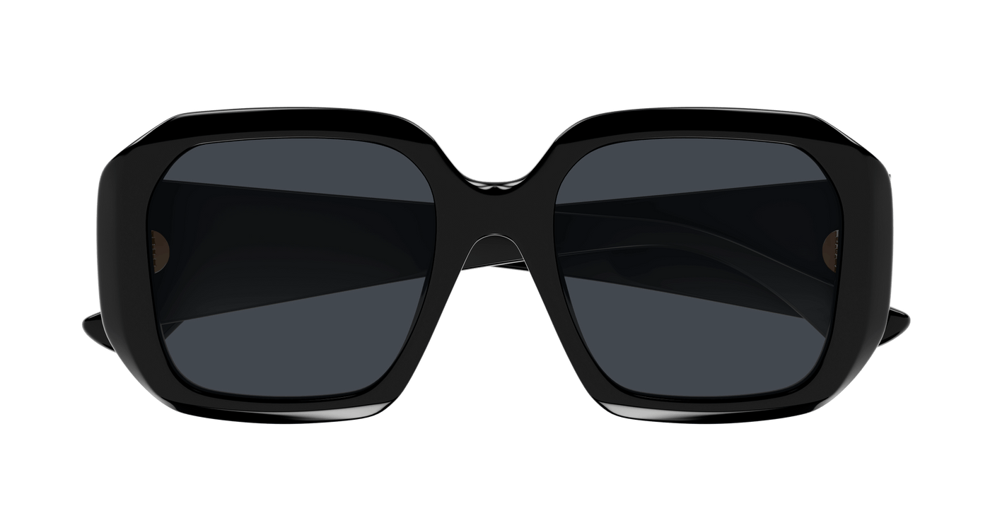 Chloe CH0300S Sunglasses 889652544090