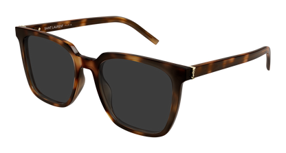 Saint Laurent SL M146/K Havana 928 889652555928