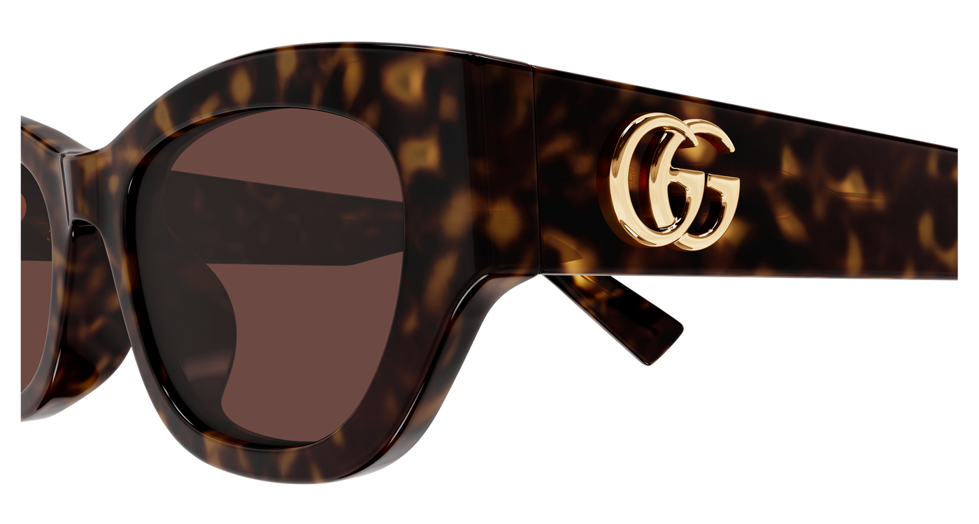Gucci GG1954SA Havana 889652568089