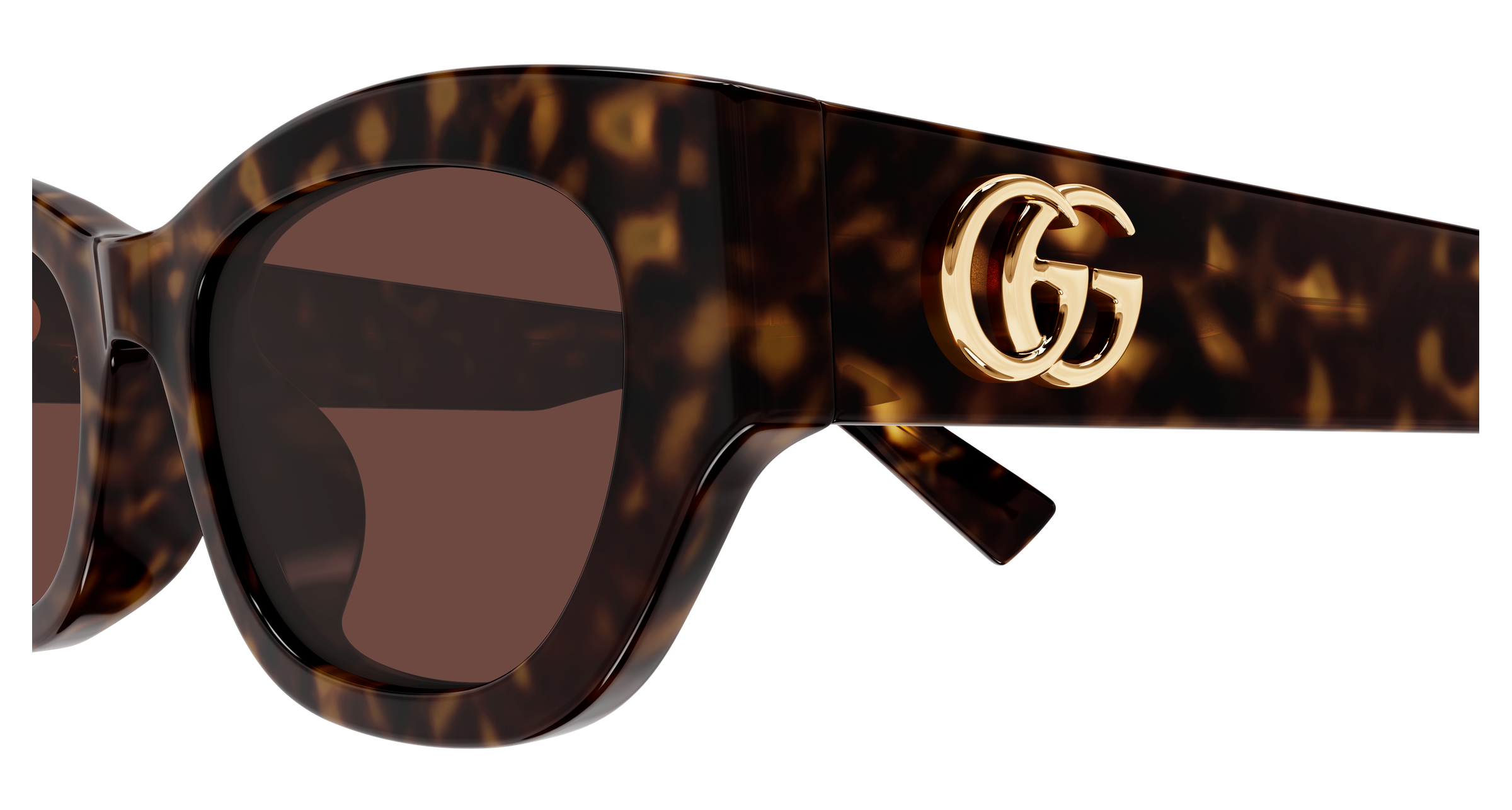 Gucci GG1954SA Havana 889652568089