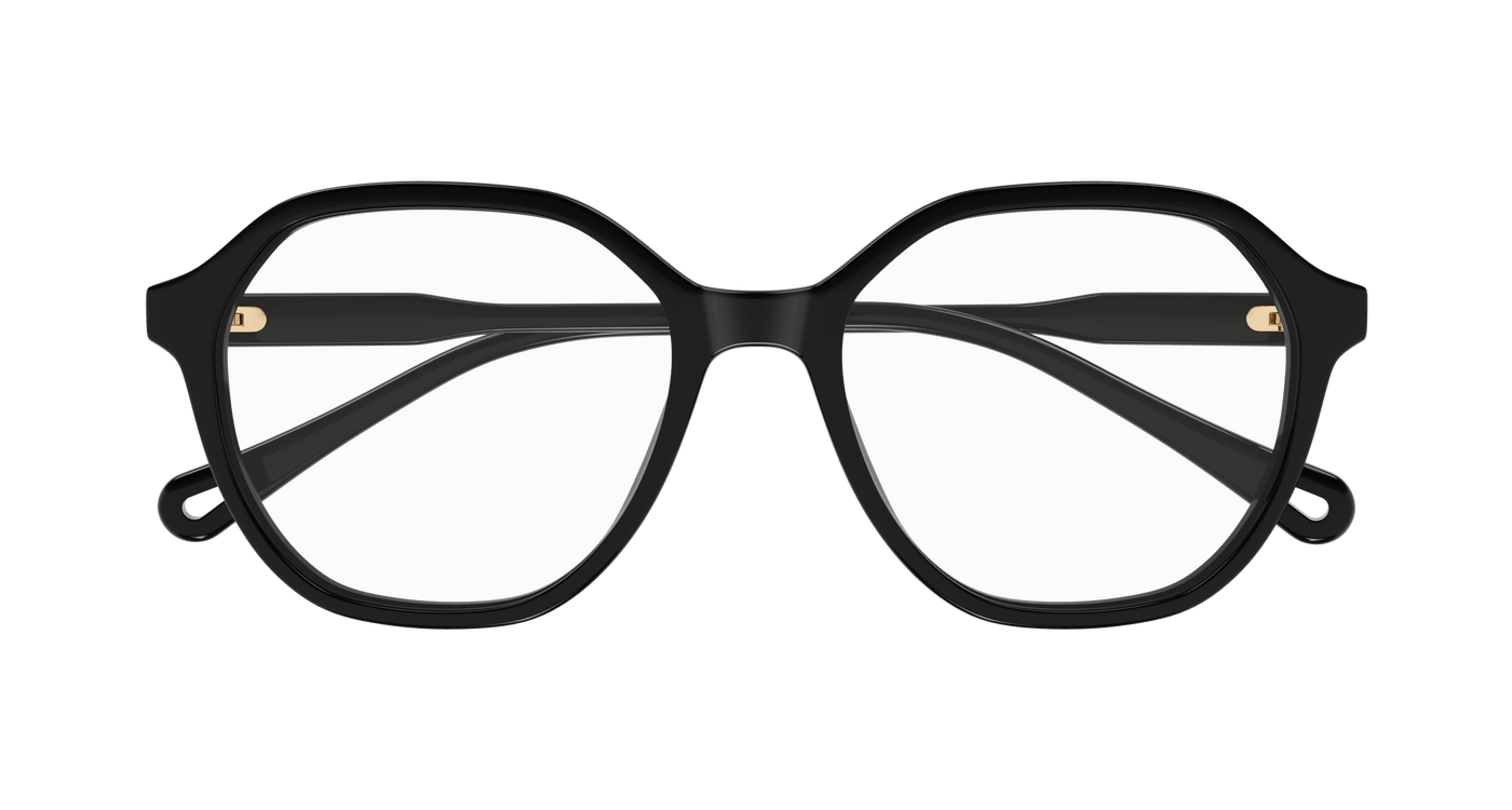 Chloe CH0312O Eyeglasses 889652544564