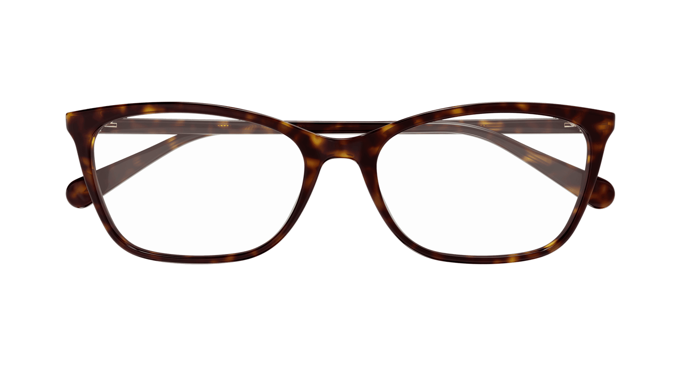 Gucci GG1930O Havana 002 889652565989
