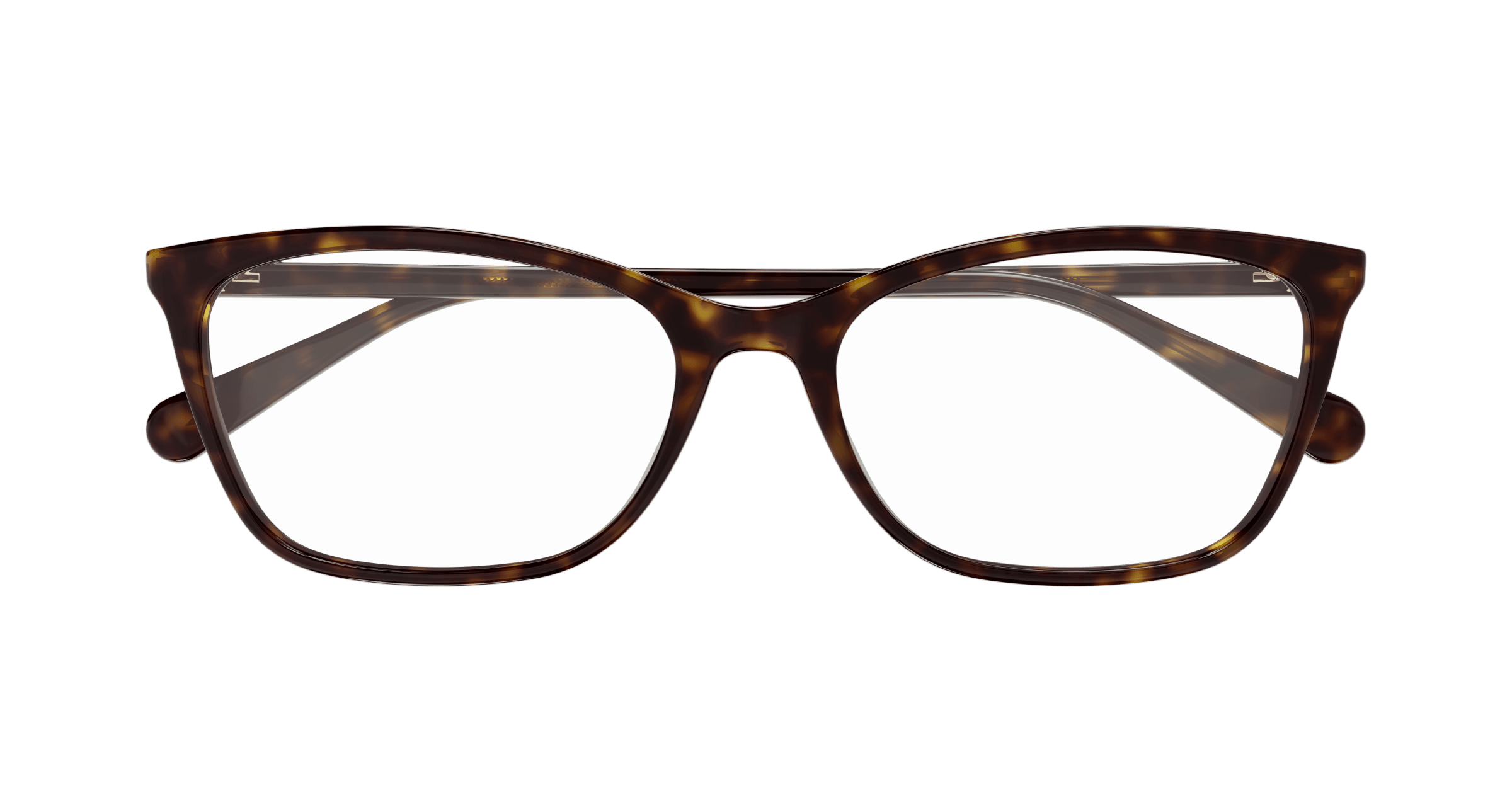 Gucci GG1930O Havana 002 889652565989