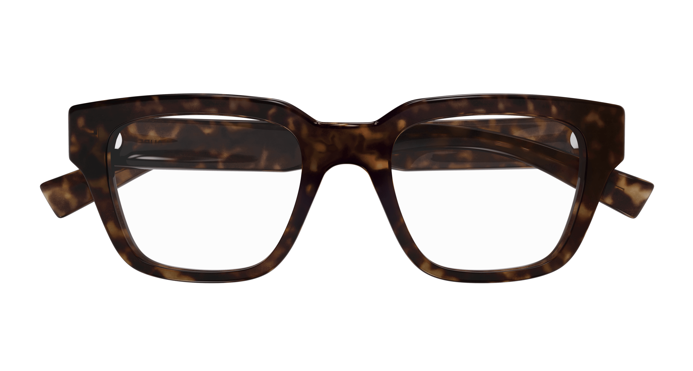 Havana Eyeglasses Saint Laurent 889652561318