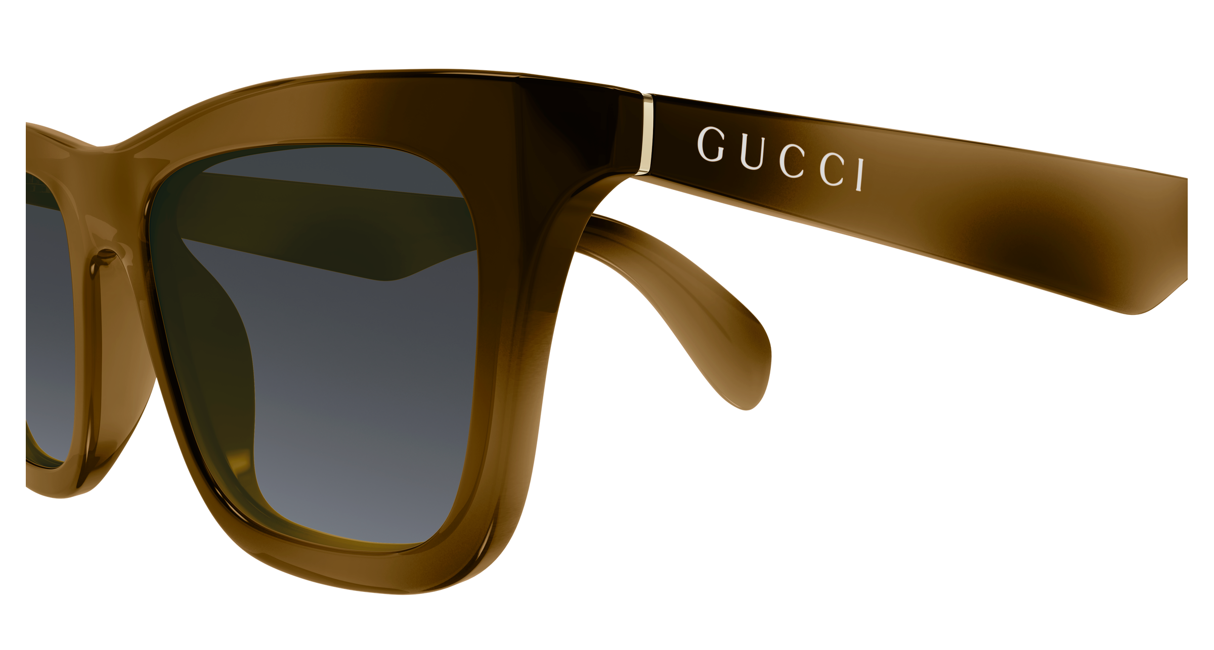 Gucci GG1933S Havana 003 889652570358