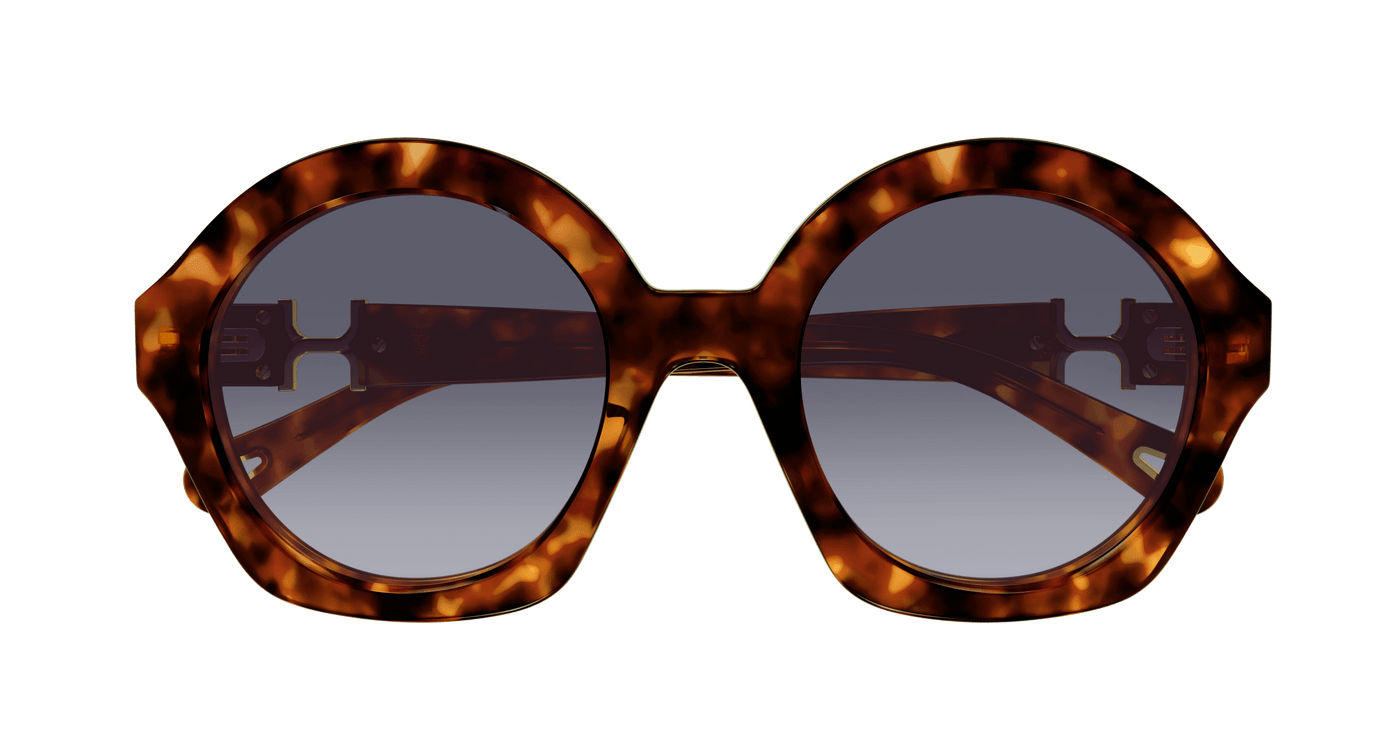 Chloe CH0302S Sunglasses 889652544199