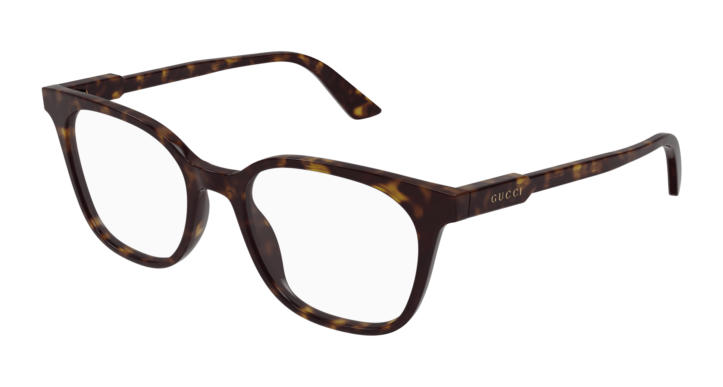 Havana Eyeglasses Gucci 889652527642