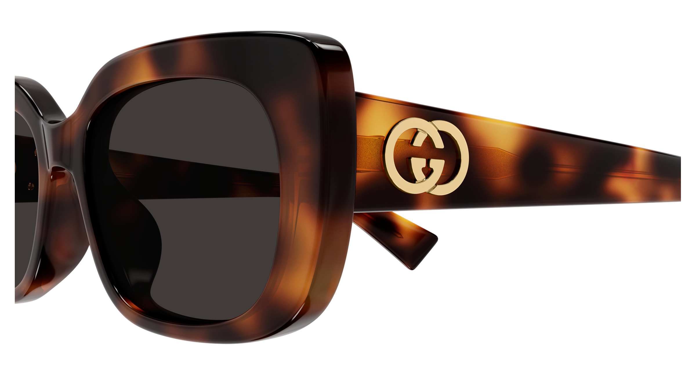 Gucci GG1979SK Havana 002 889652568393