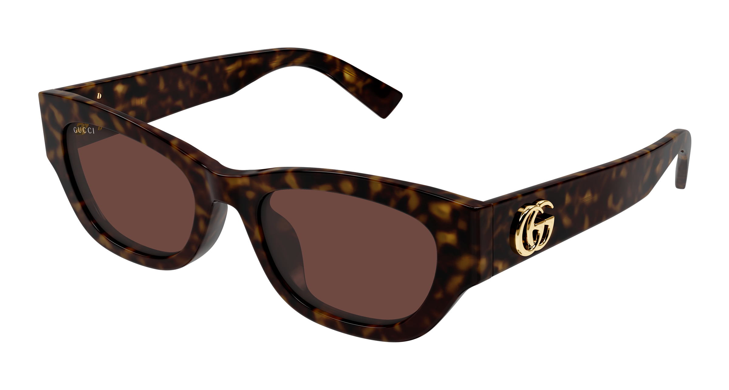 Gucci GG1954SA Havana 889652568089