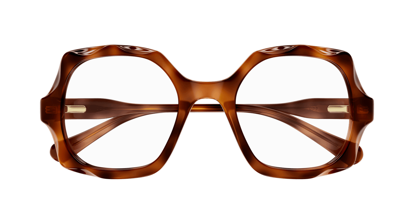 Chloe CC0026O Eyeglasses 889652543154