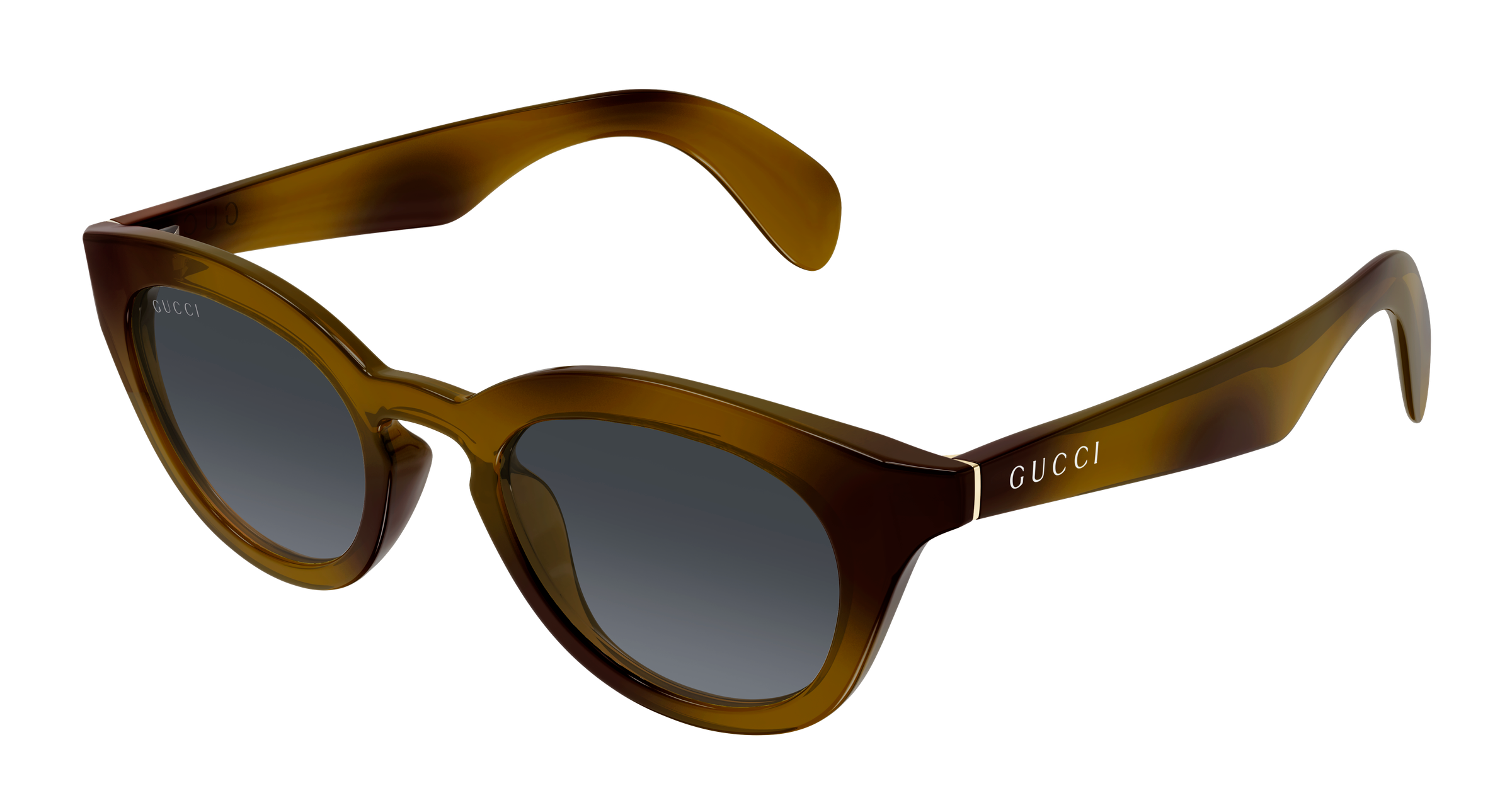 Gucci GG1934S Havana 003 889652570440