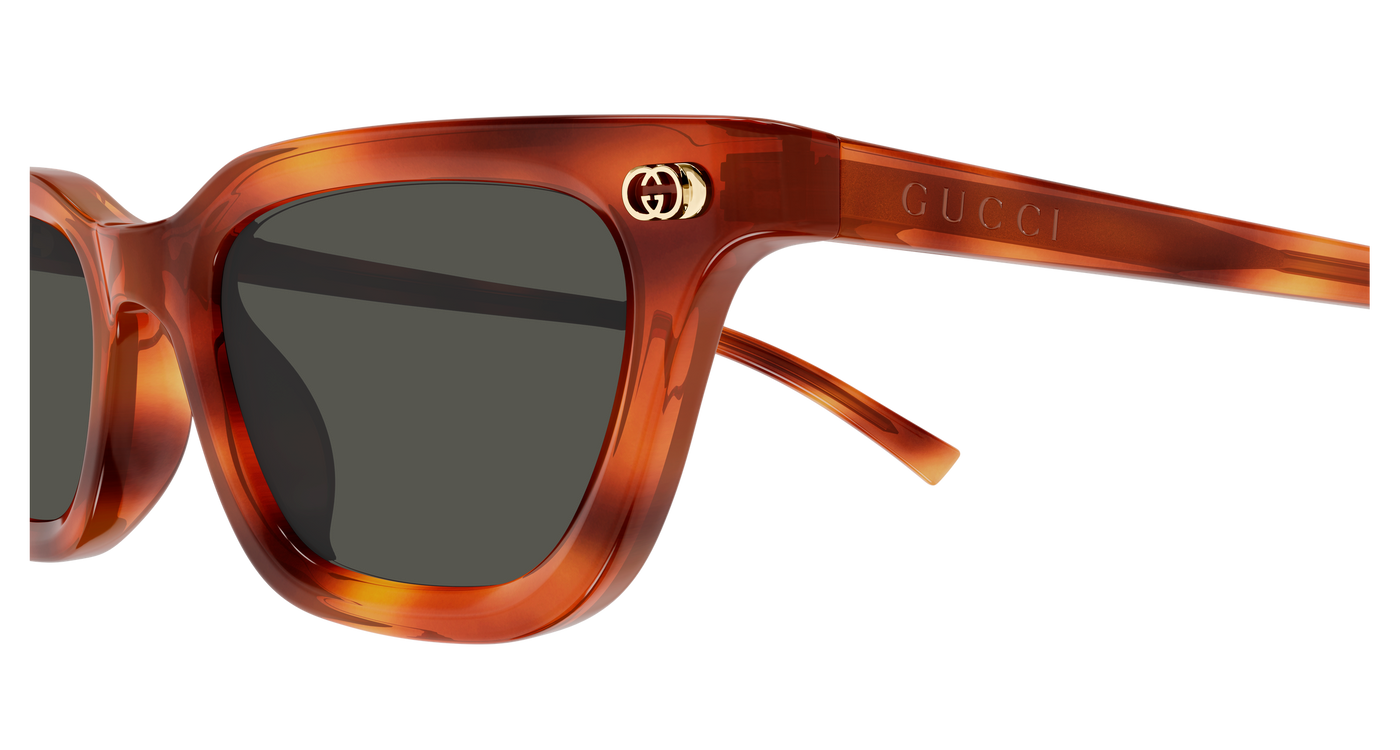 Gucci GG1944S Havana 002 889652567150