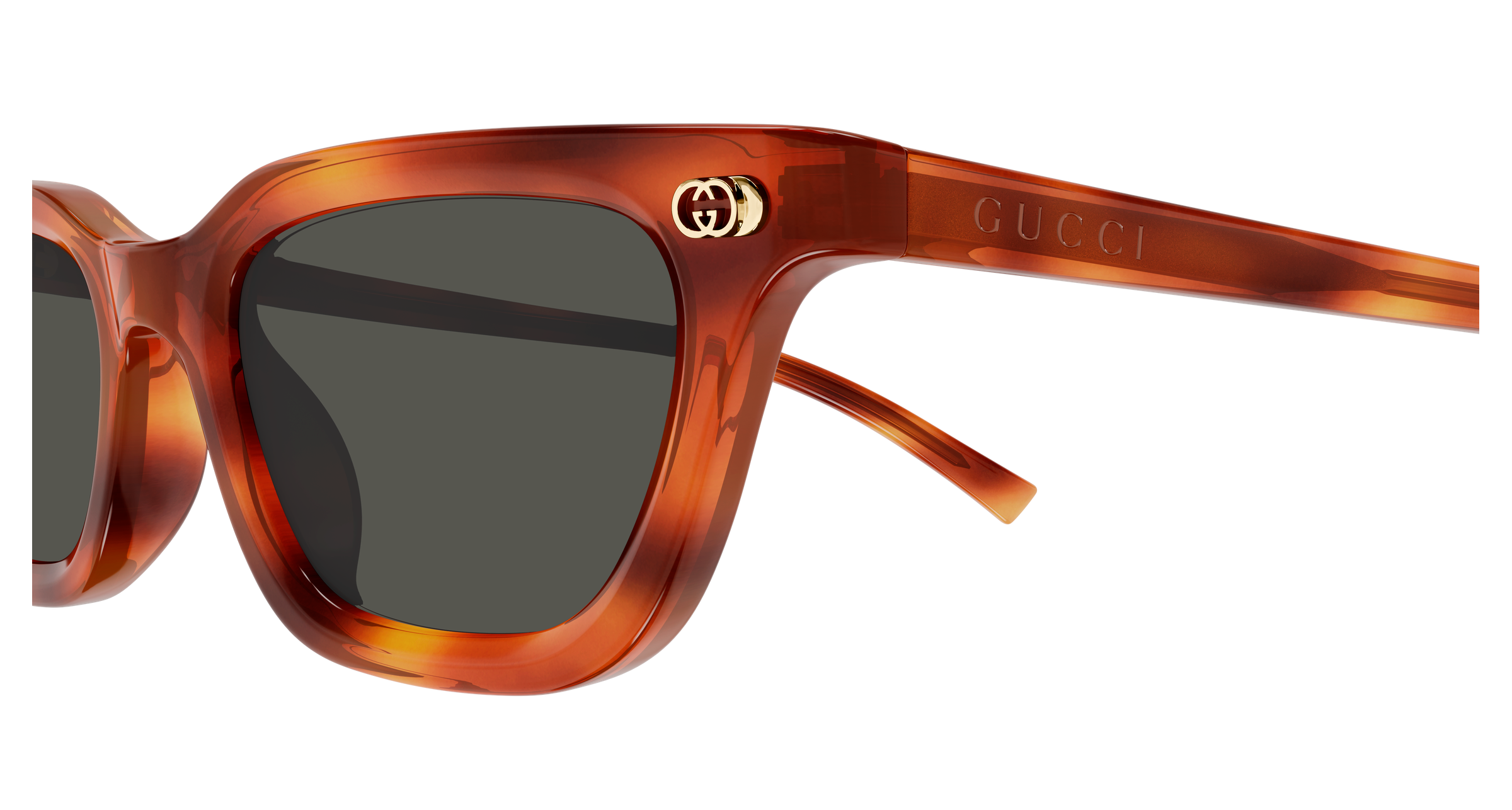 Gucci GG1944S Havana 002 889652567150