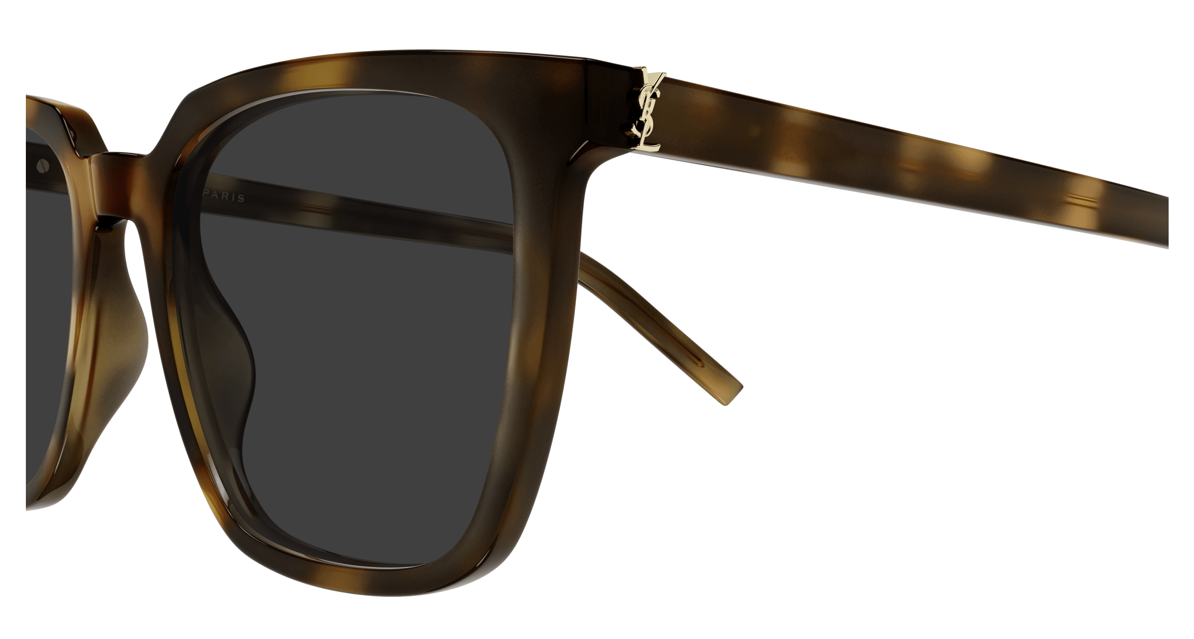 Havana Sunglasses Saint Laurent 889652555928