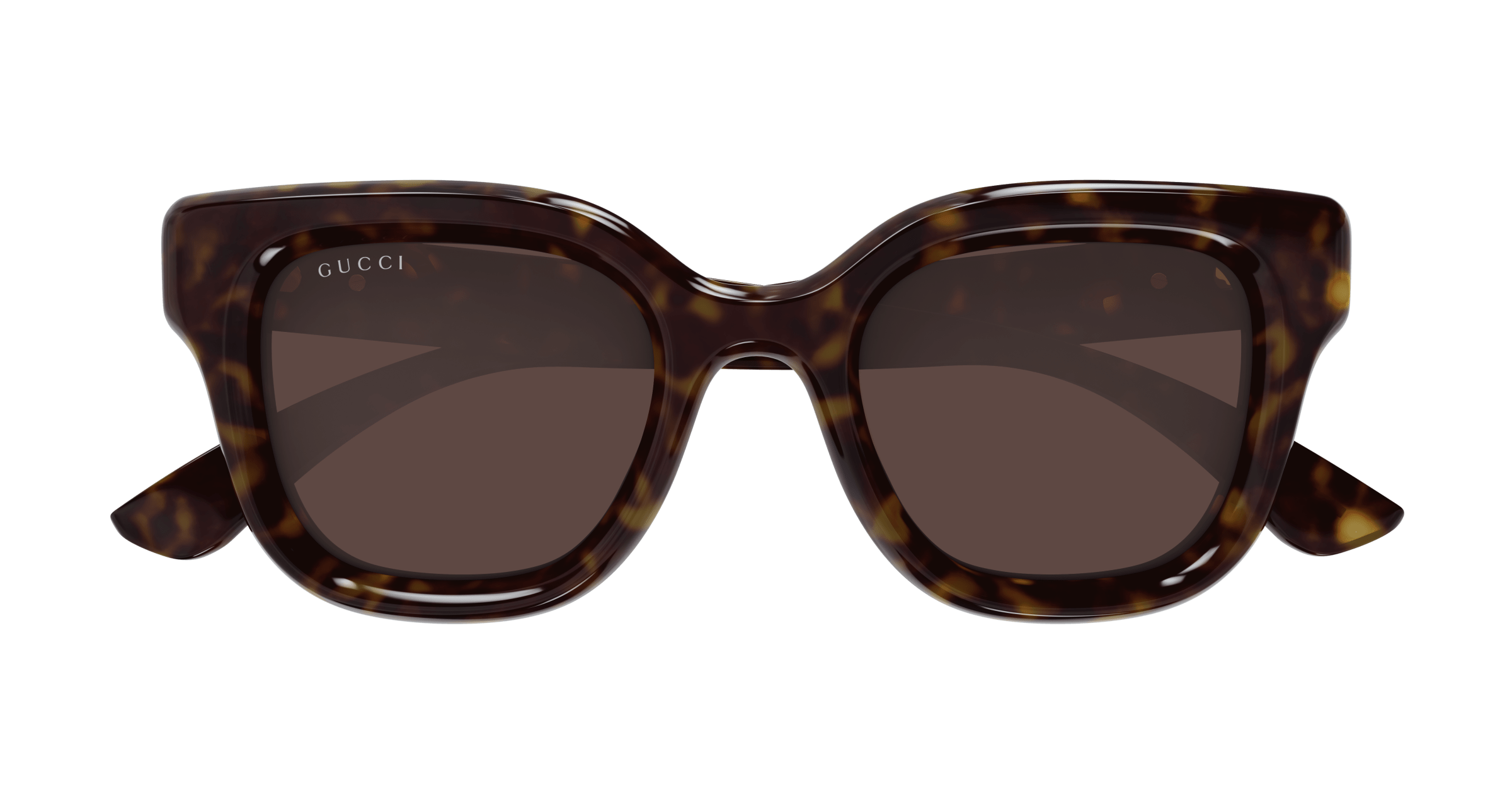 Havana Sunglasses Gucci 889652527208