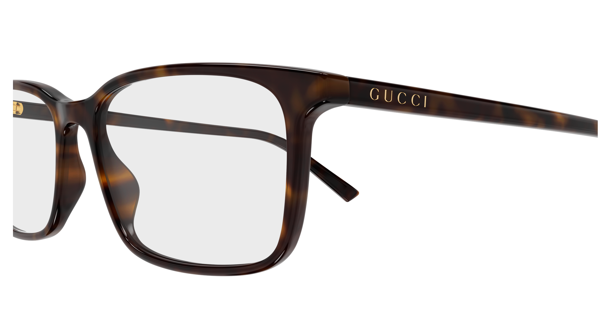 Gucci GG1997O Havana 889652568324