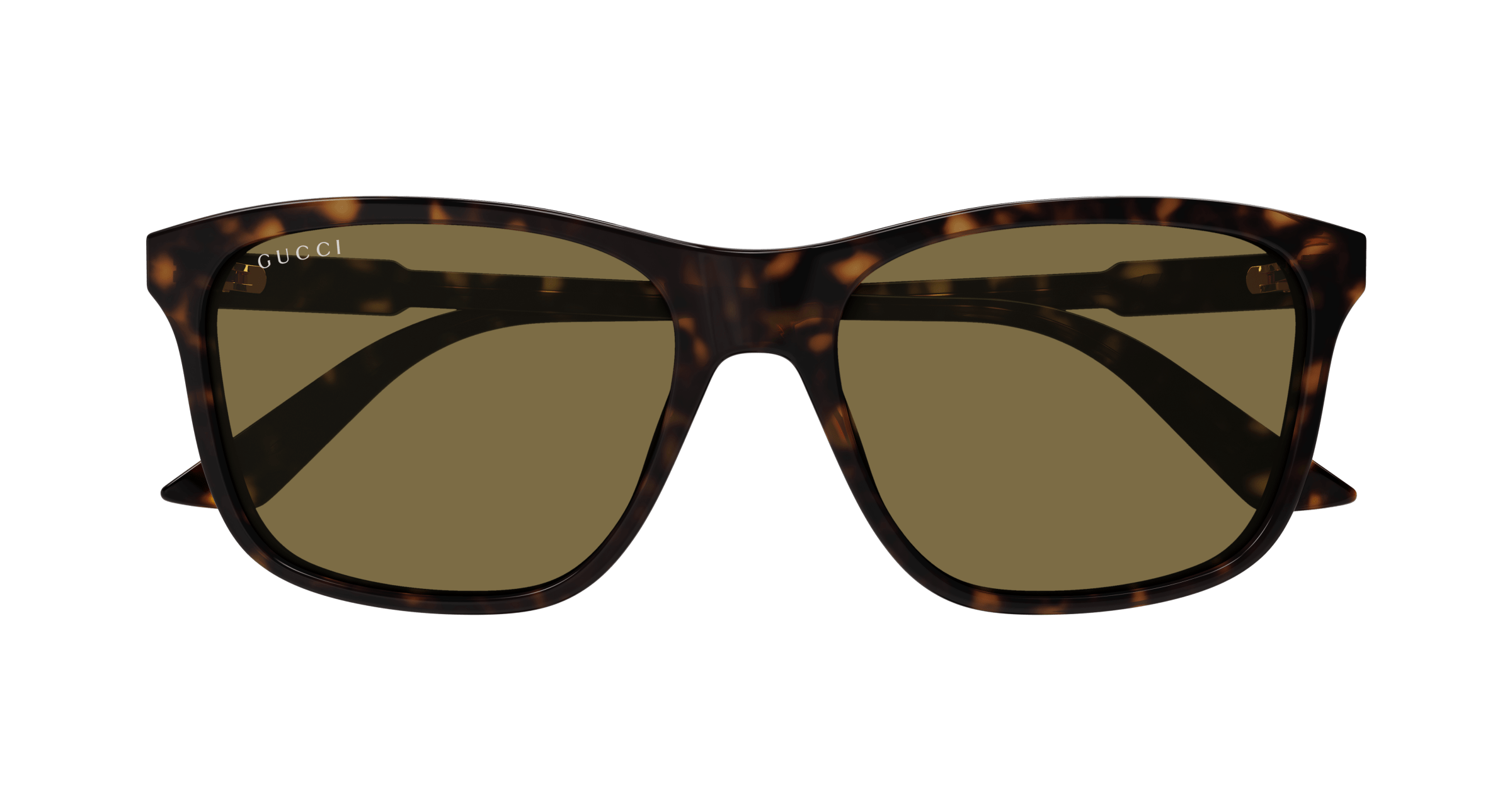 Havana Sunglasses Gucci 889652527598