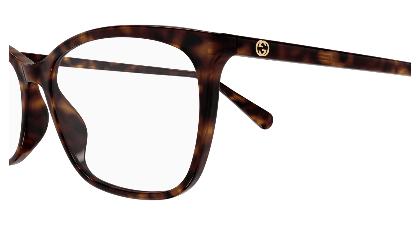 Gucci GG1930O Havana 002 889652565989