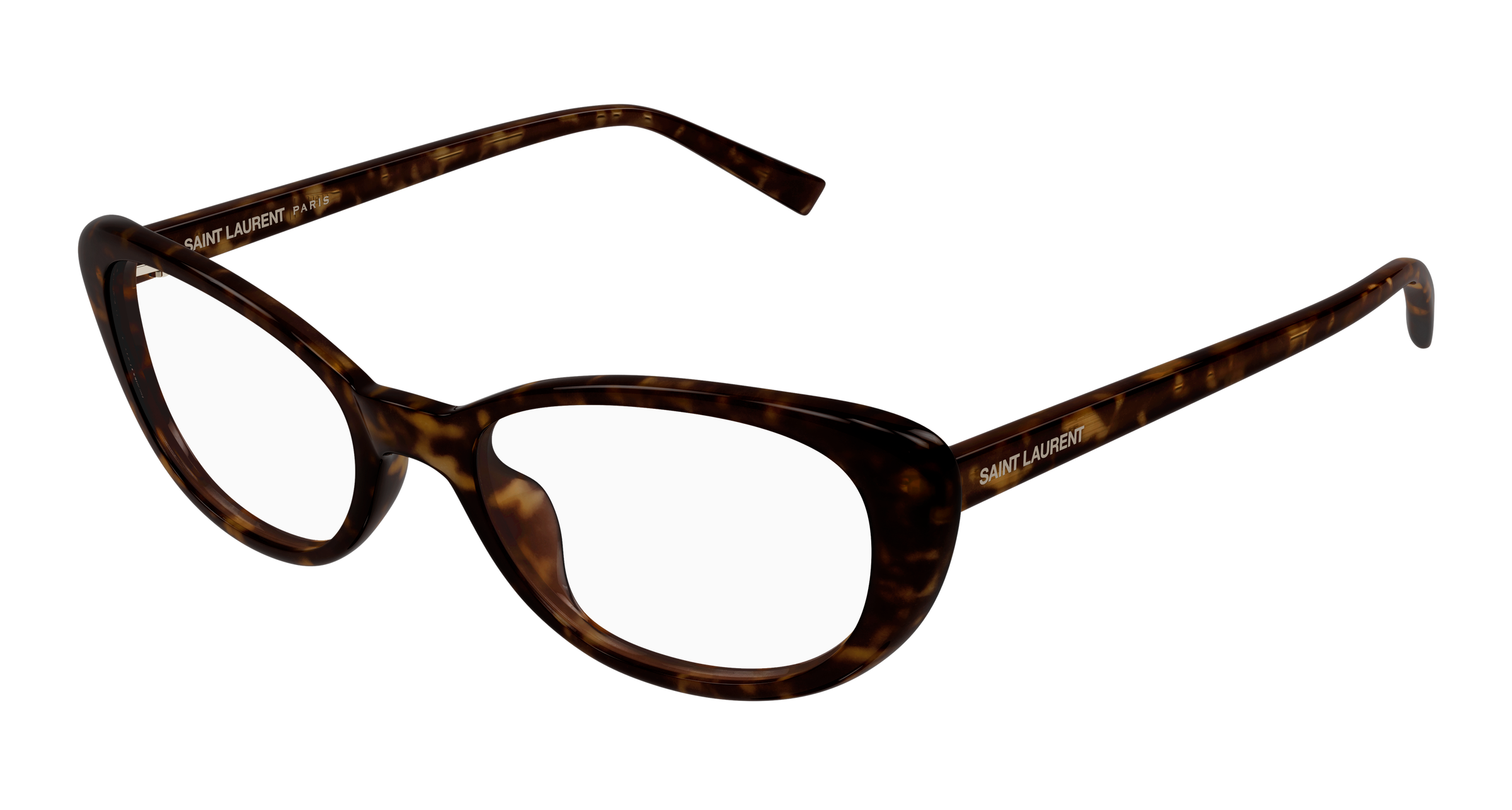 Saint Laurent SL 822 OPT Havana 862 889652604862