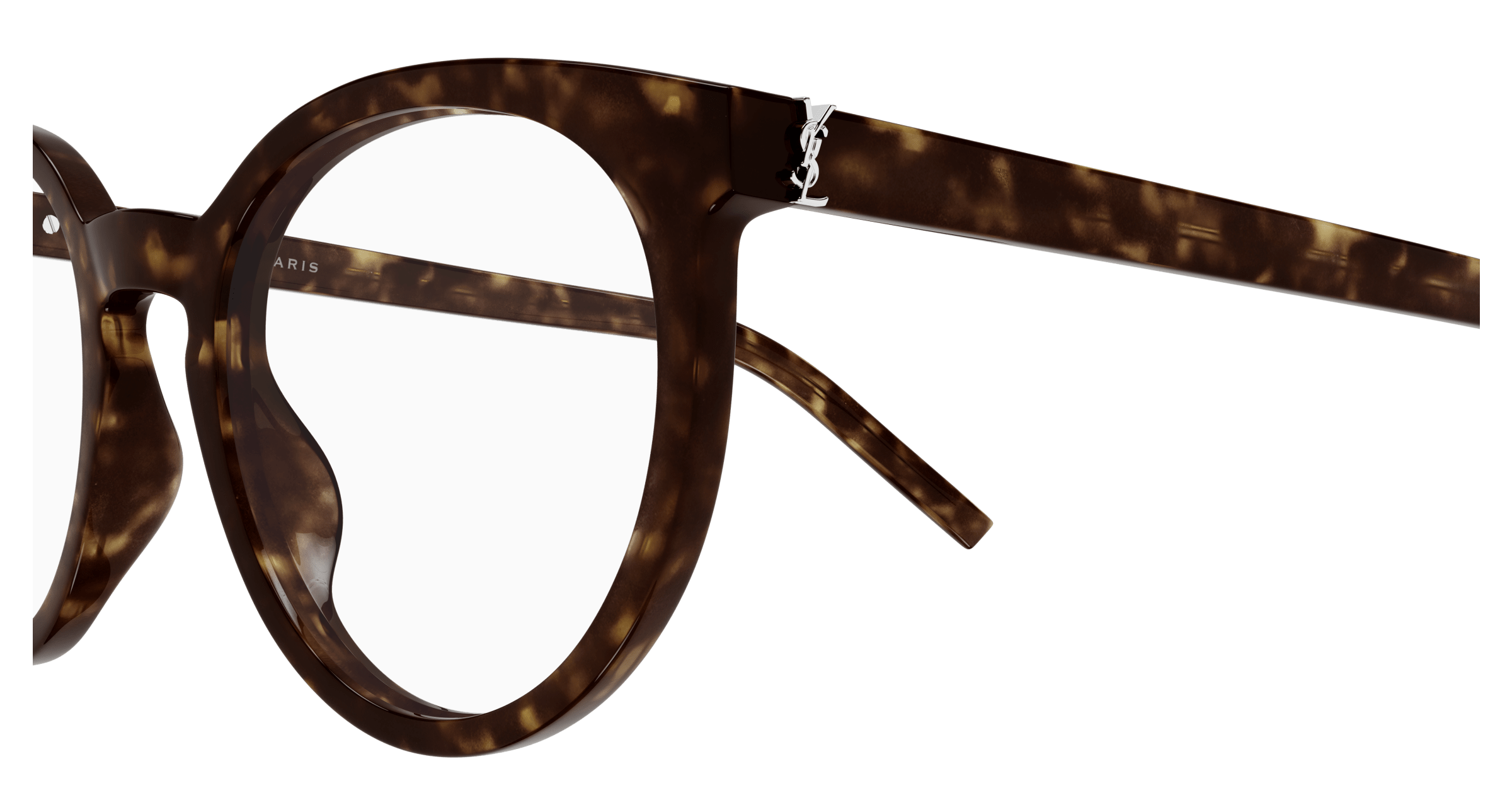 Havana Eyeglasses Saint Laurent 889652556208