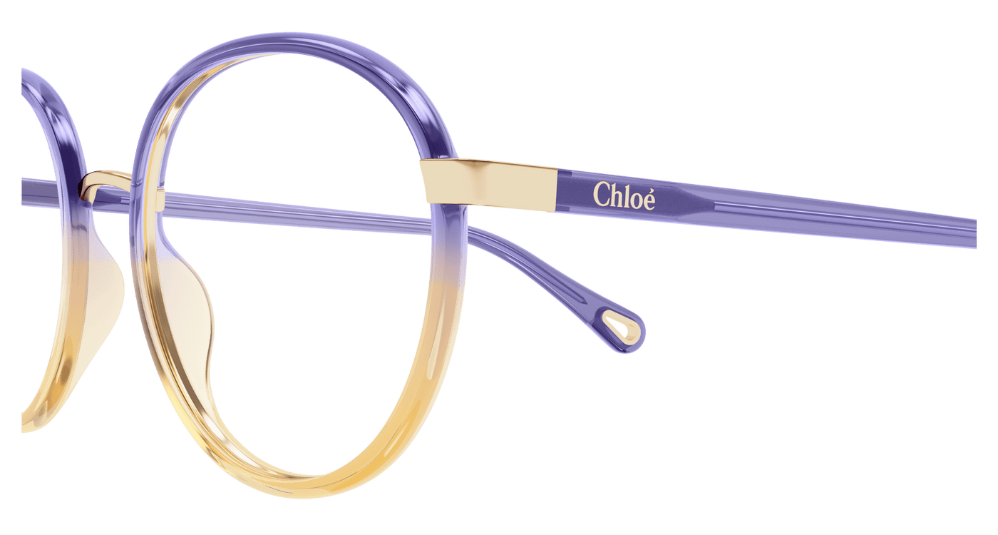 Chloe CH0033O Eyeglasses 889652543192