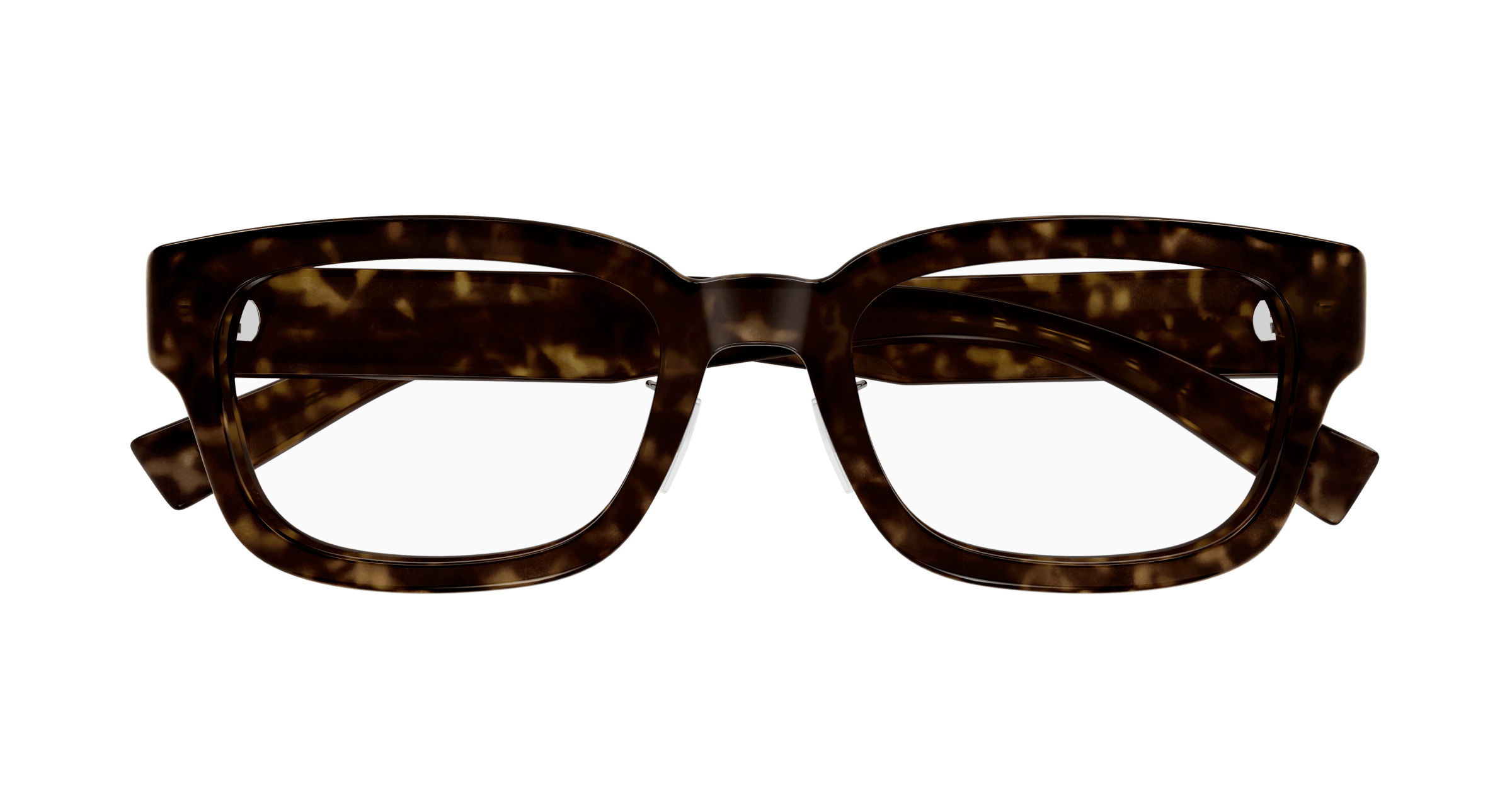 Havana Eyeglasses Saint Laurent 889652556611